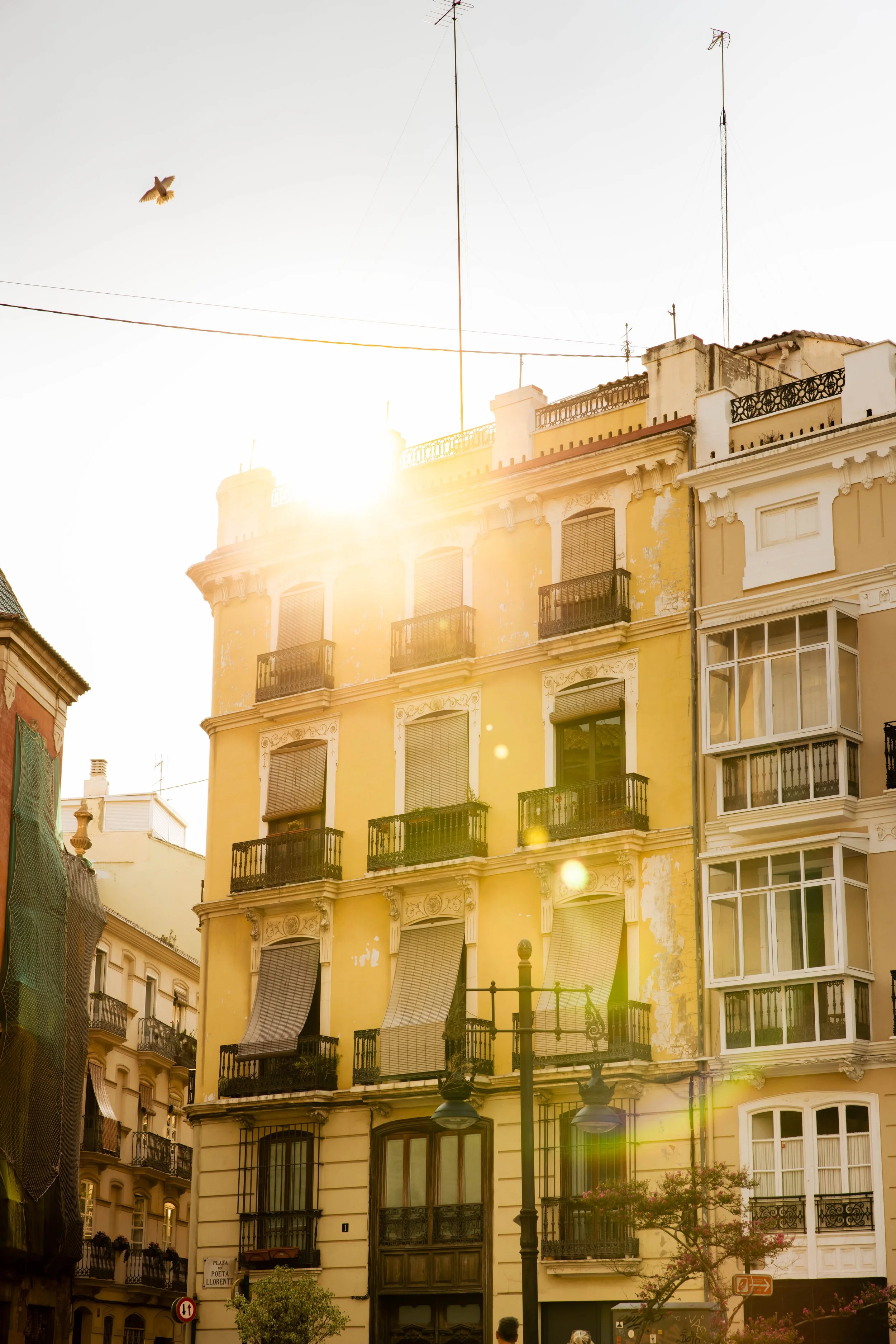 18-08 Valencia-13.jpg