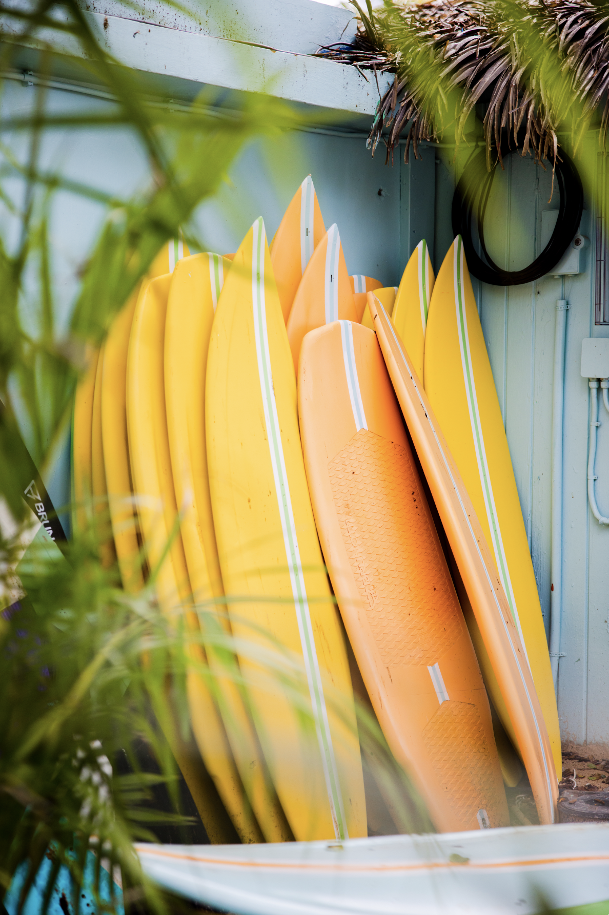 Surfen Curacao.png