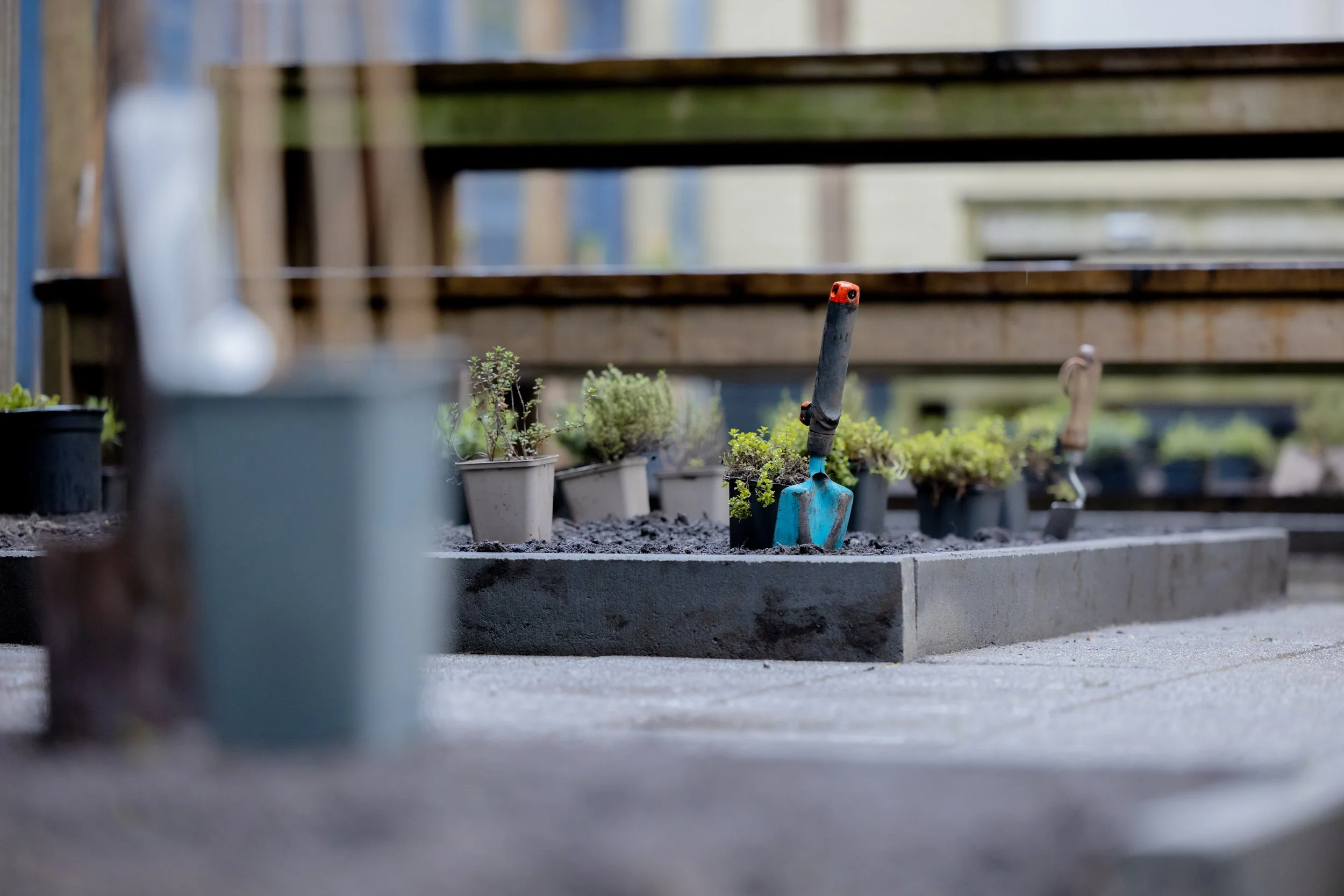 20240405 Trees for Schools - ROC Amsterdam-4.jpg