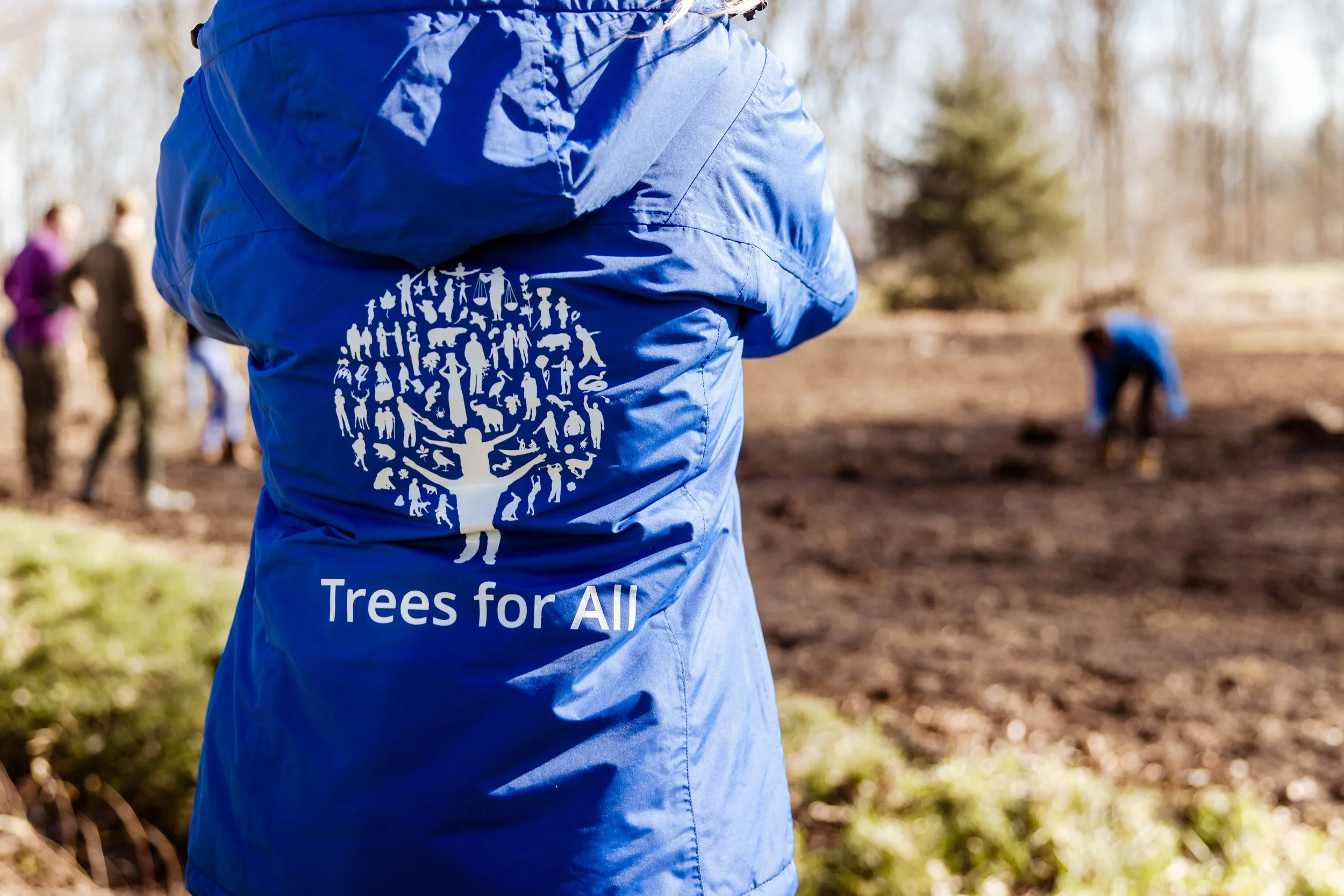 TreesforAll-19.jpg