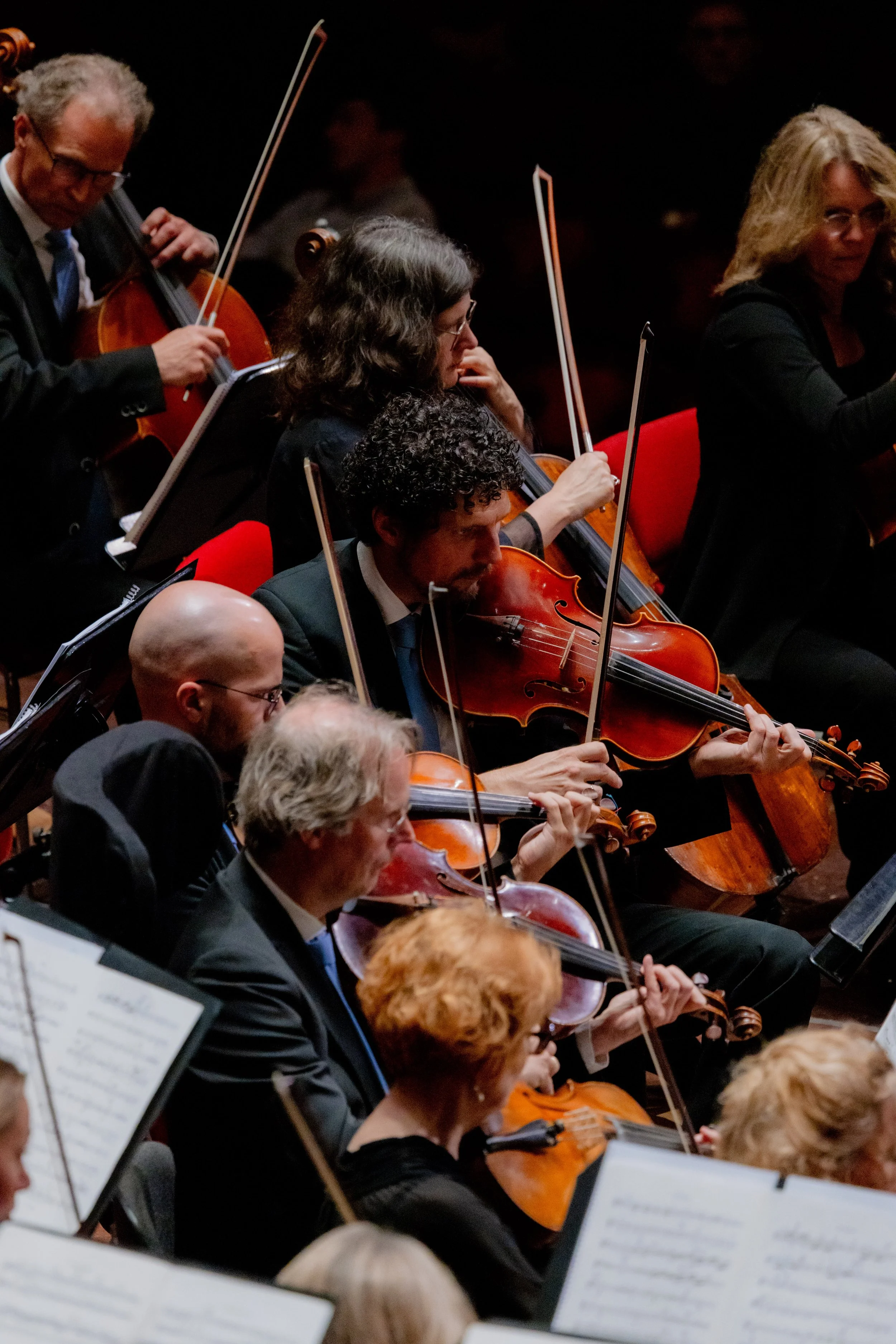 BeeldbankNTRZaterdagMatineeConcertgebouw-89 (1)-min.jpg
