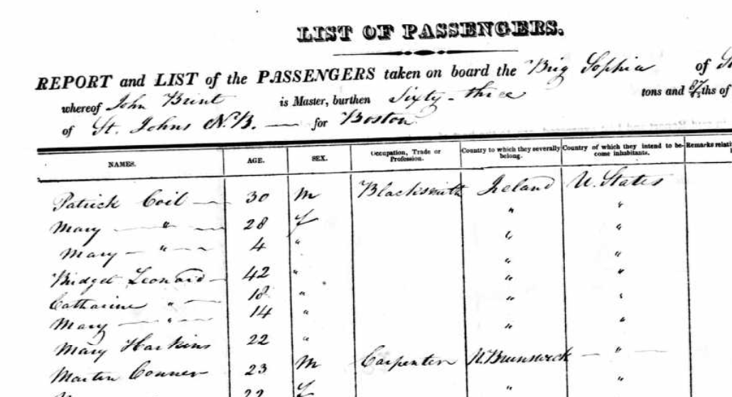Passenger Lists: The Meaning Behind the Notations, Abbreviations, and Marks  — Start Researching