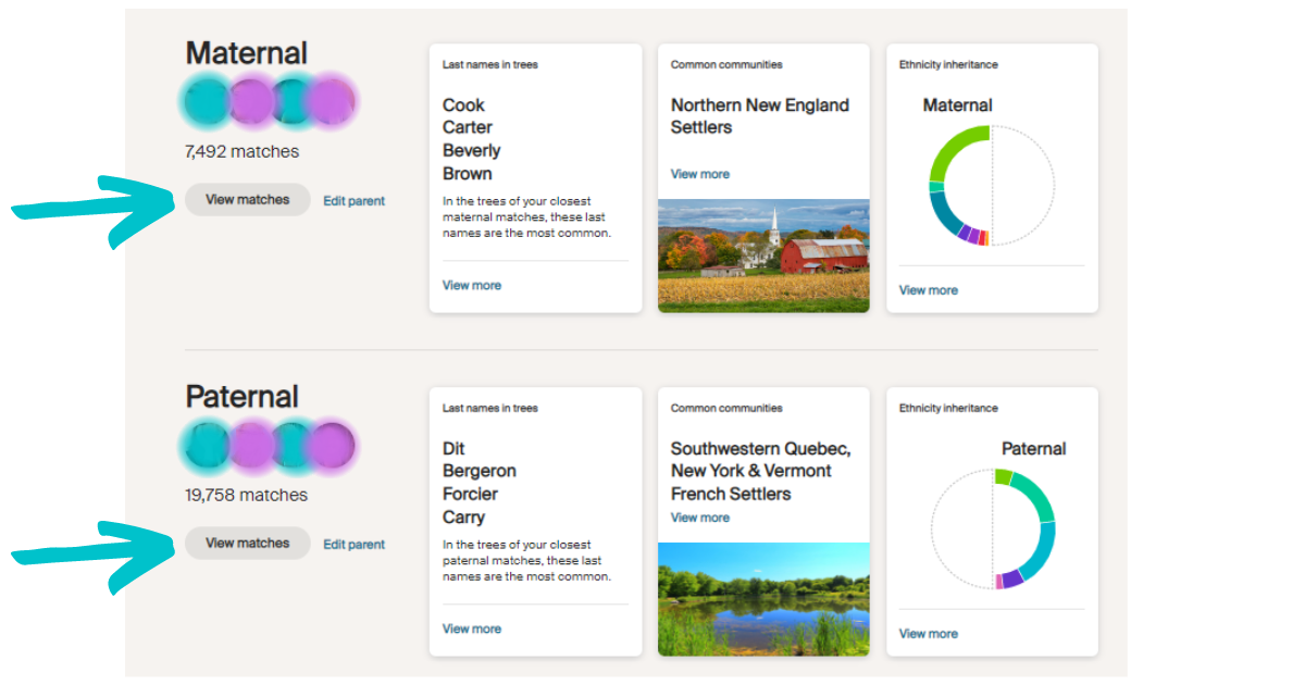 Exploring the new AncestryDNA® Parental Matches Feature — Start ...
