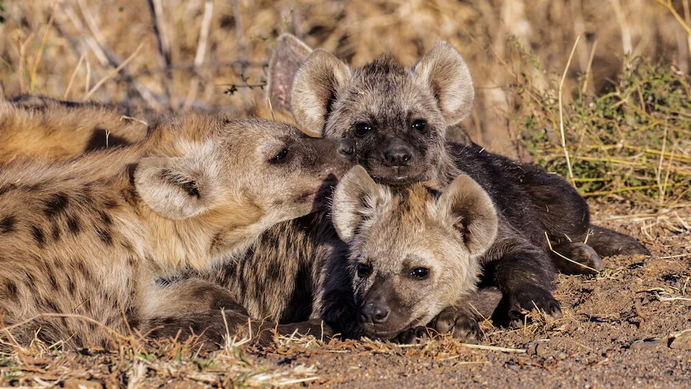 _X5A8590-Edit copy_smaller.jpg