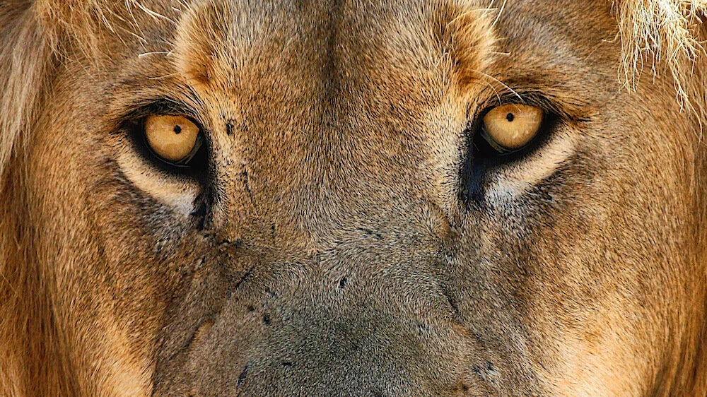 3 of 44 - Engel8(Engel8(IMG_3070)) - Version 2 copy.jpg