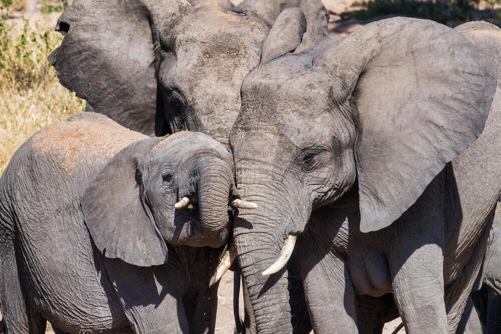 ND5_1107-2-Edit copy.jpg