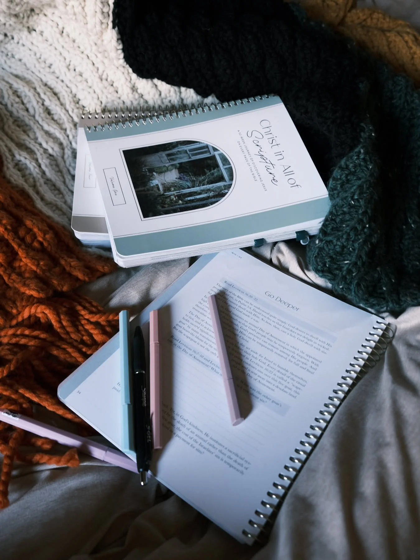 We have started a women's Bible study at my church and I went to the first week last night. My heart and my mind have been dwelling in that space ever since I left and let me tell you it was needed today. 

Some days the siblings just aren't feeling 