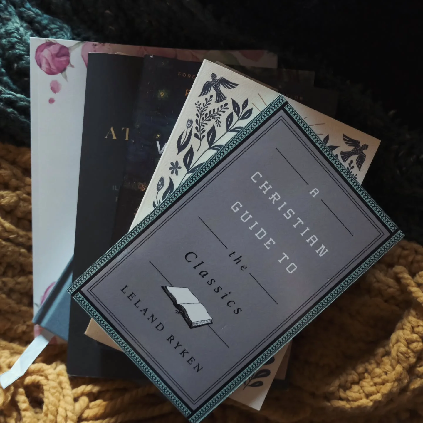 One of my (many) new year goals is to add more depth to my reading material. I have always been very one dimensional in what I read and in 2025 I was so surprised to find the books becoming stale and tiresome. 
I still have a tbr full of fiction and 