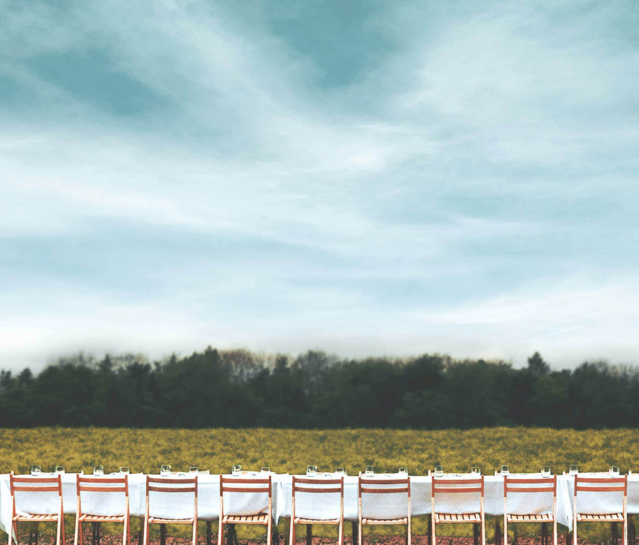 long-table-filtered-3_mobile_sm.jpg