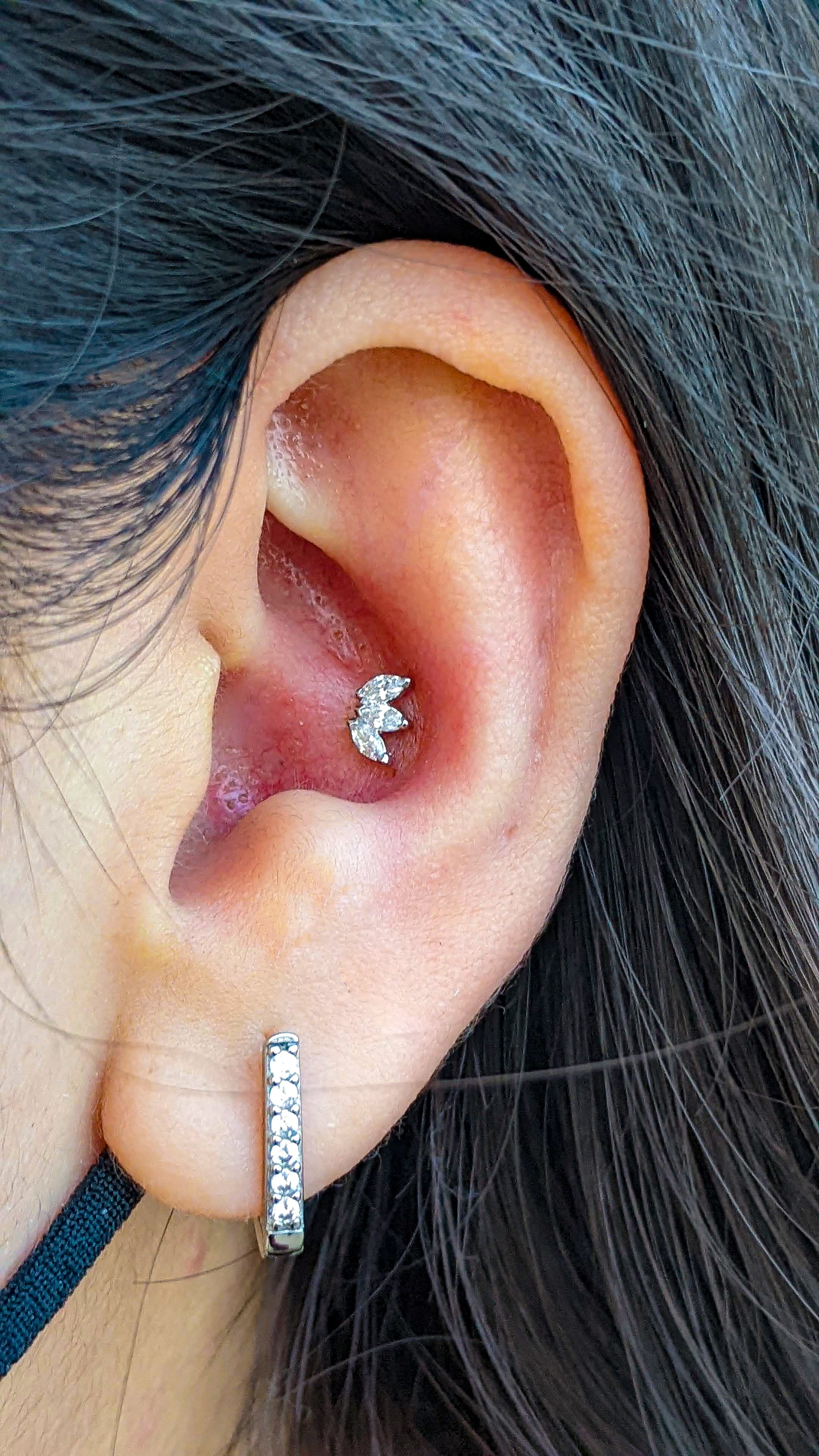 Ear Piercings, Naval Piercings & Nose Piercings in Mesa