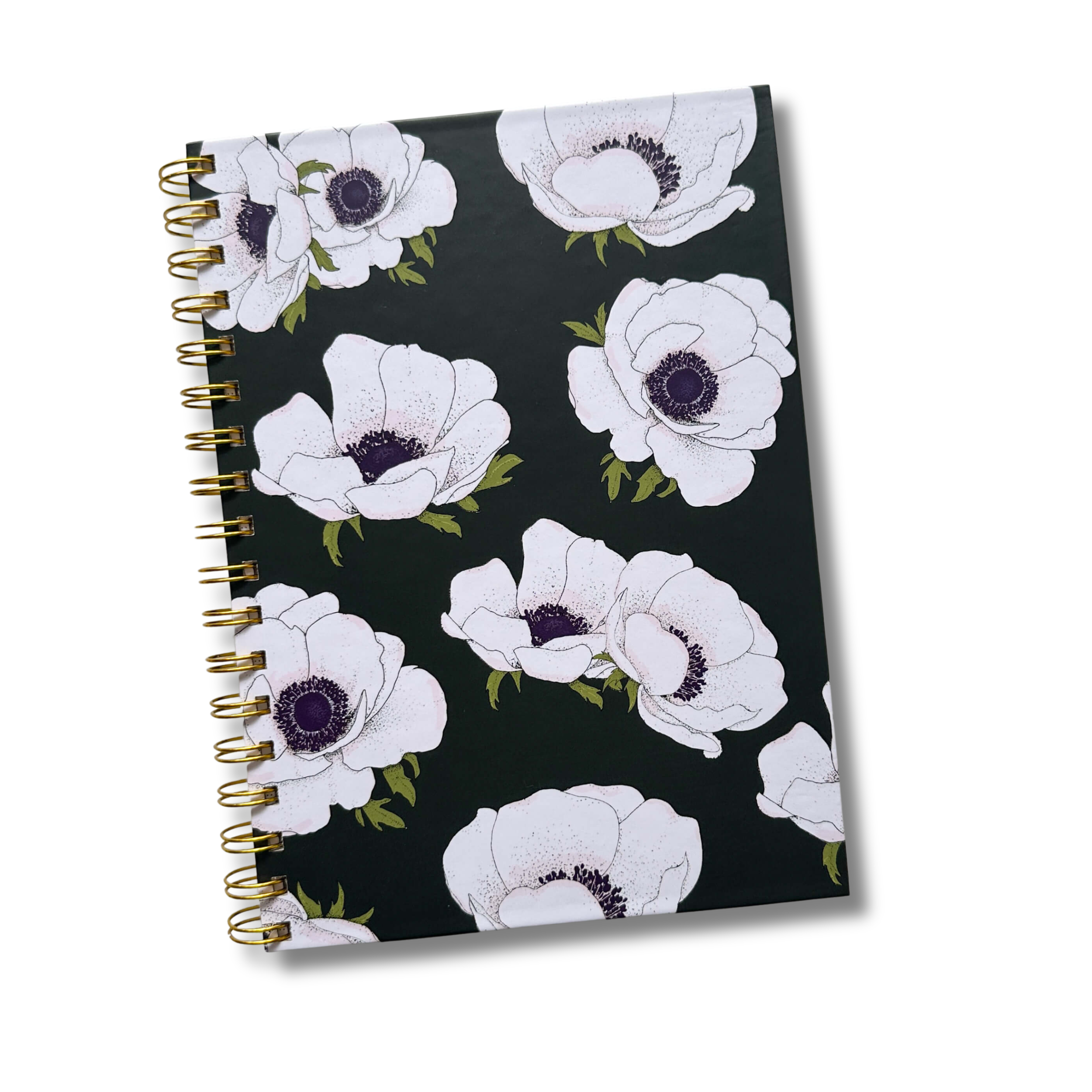 White Anemone - Journal - 5.png