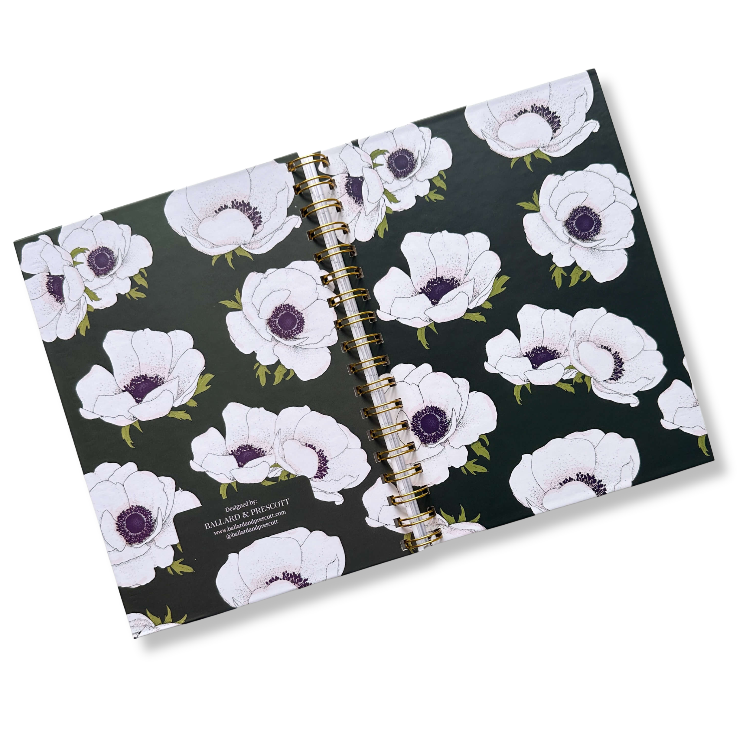 White Anemone - Journal - 7.png