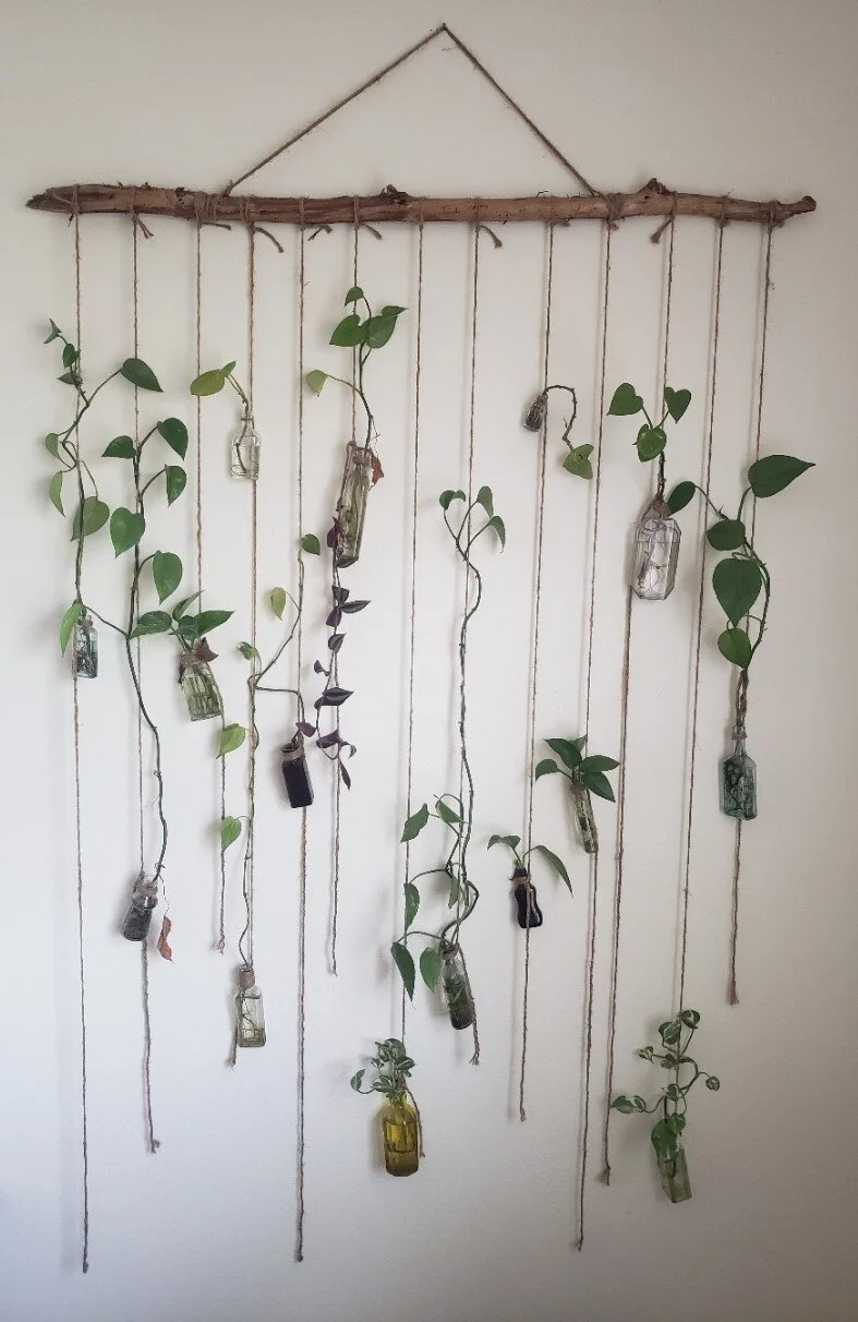 hanging plant fixture.jpg