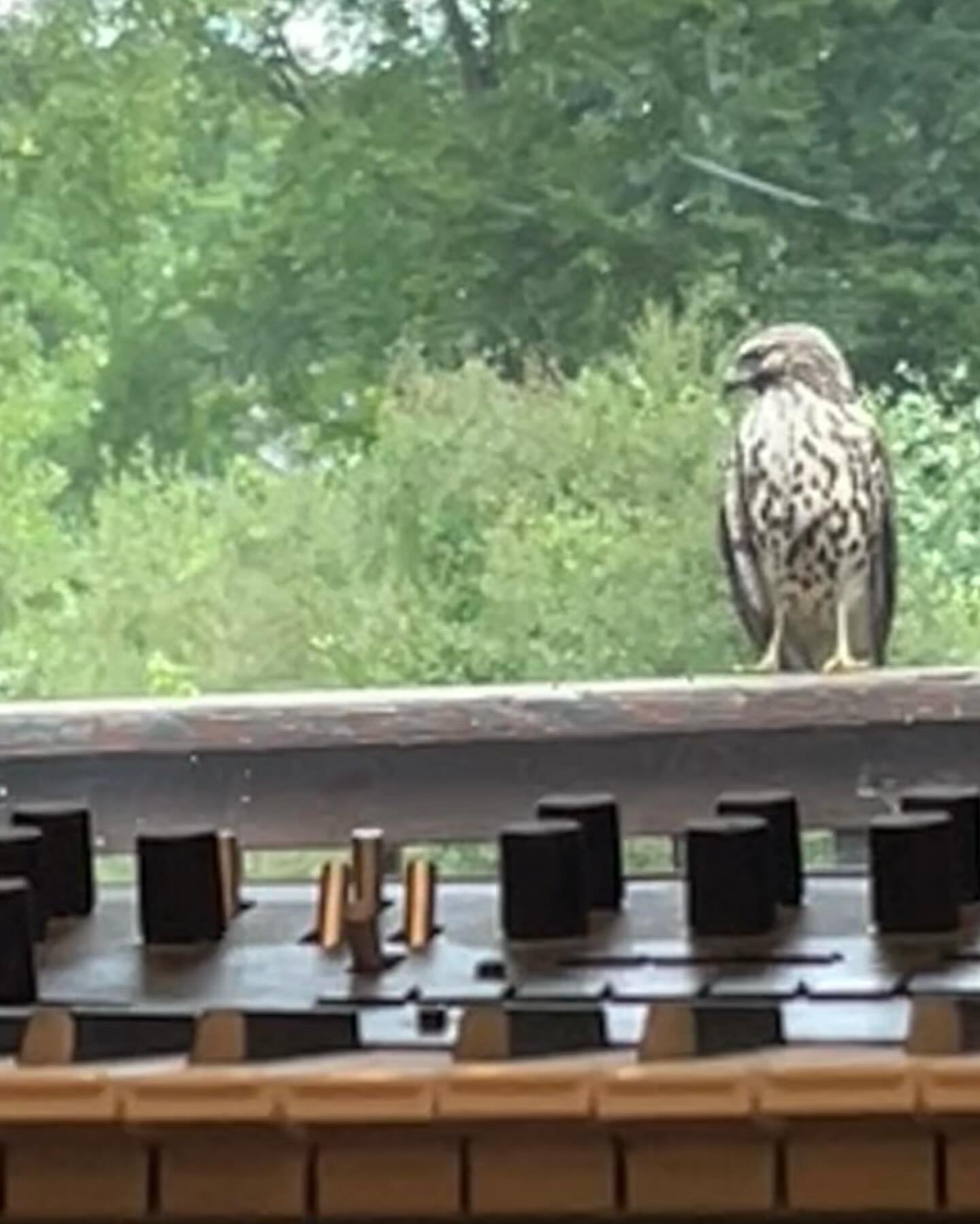 This fine chap stopped by today for some mix notes&hellip;