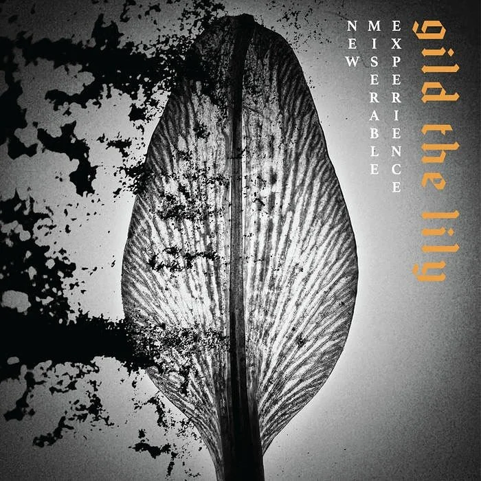 @newmiserableexperience have released their new full length GILD THE LILY on @pelagic_records I am so happy these noises are available for all ears now.  I have been lucky to work with these lads since the beginning of this band (and before in past p