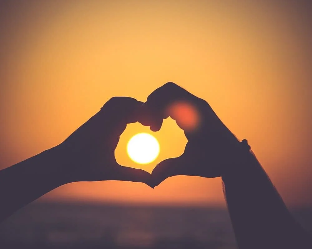 Selective Search Hands