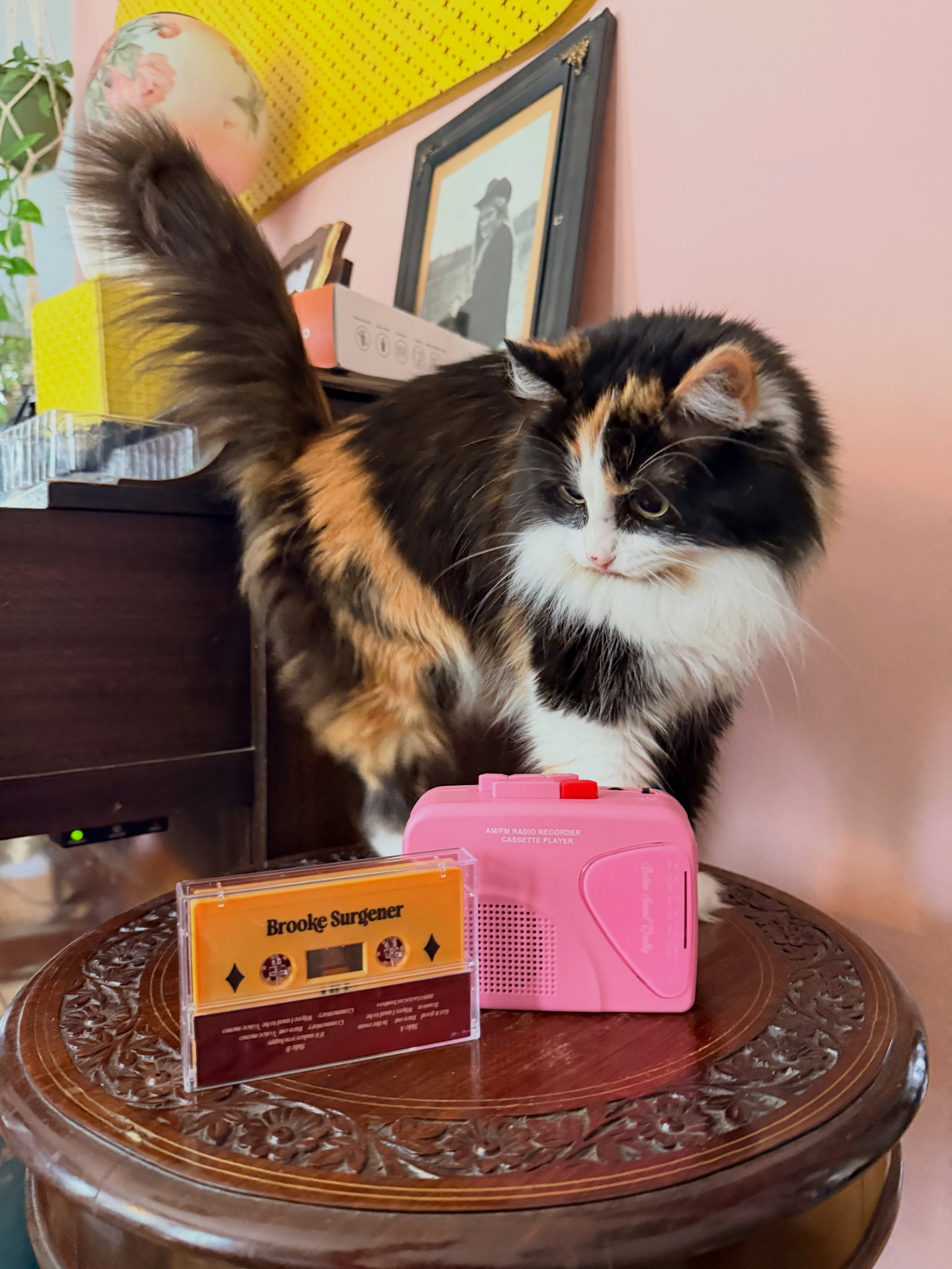 *~GiveAway~*
I&rsquo;m giving away my cassette + cassette player with some little goodies!! *disclaimer* Cat not included*
-
Just like and tag a friend! Xtra points if you share a story of a song from the EP on one of your PLAYLISTS 💘 *tag me in tha