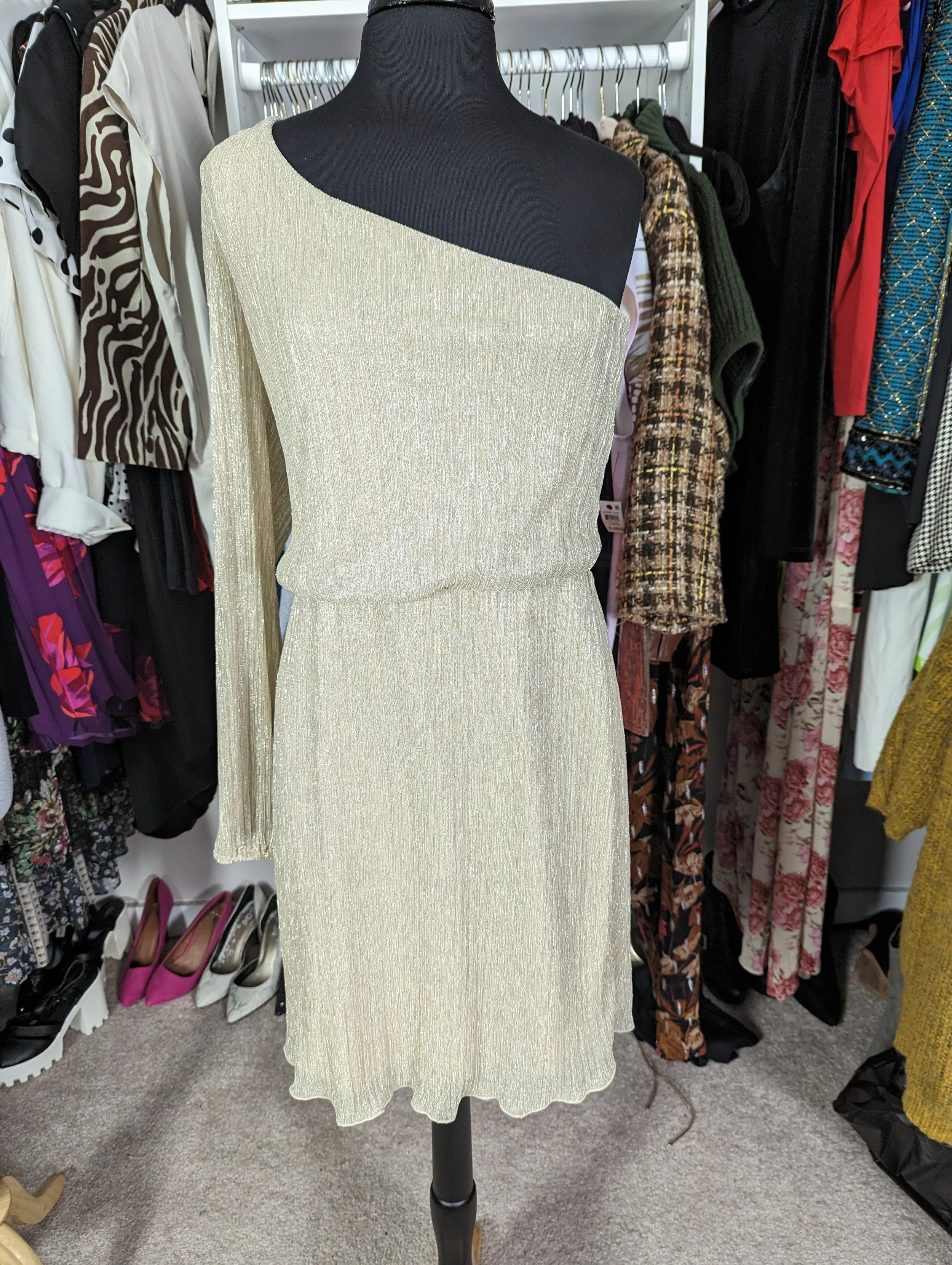 Champagne Gold One Sleeve Dress Size 12