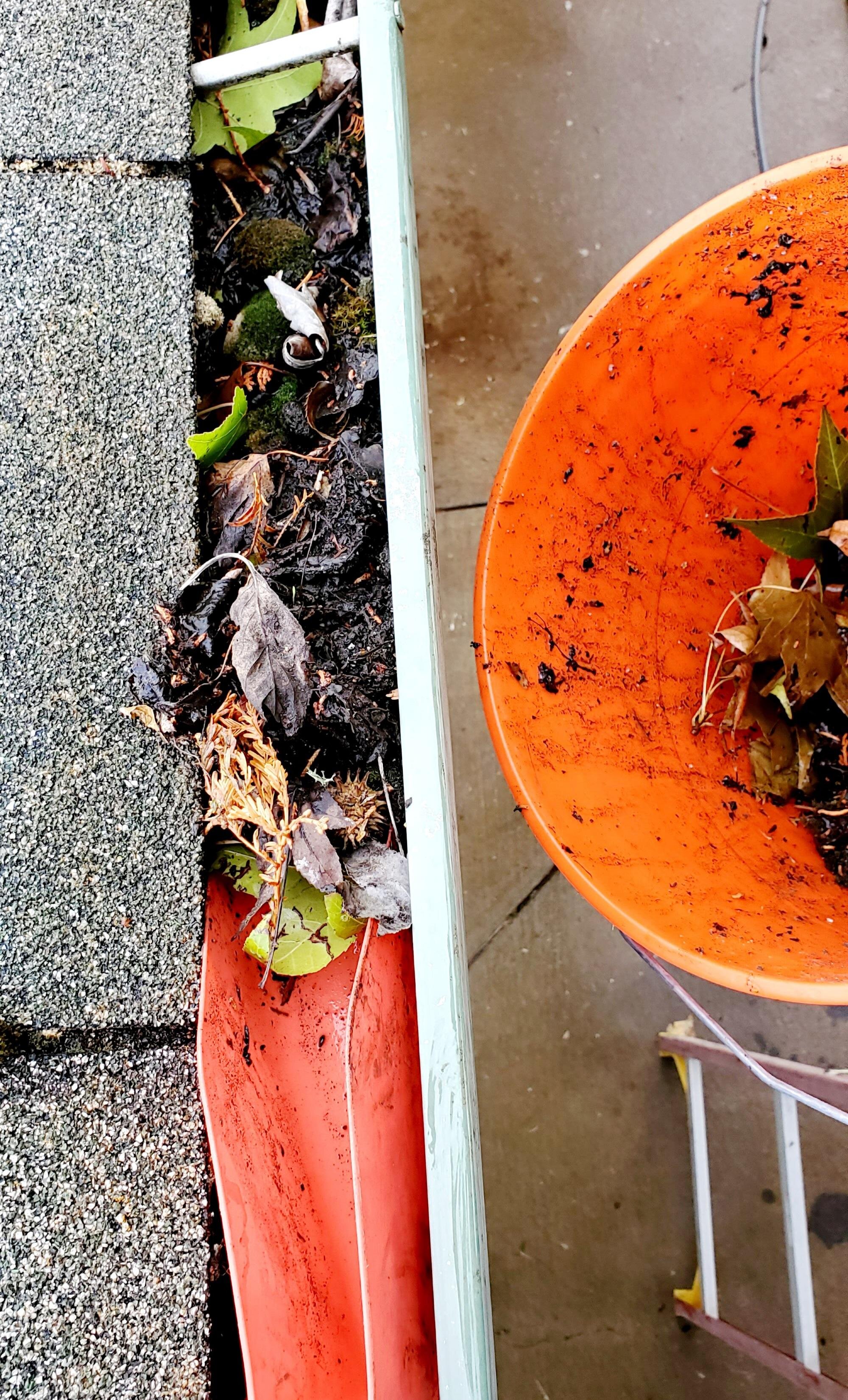 Gutter Cleaning Central Oregon.jpg