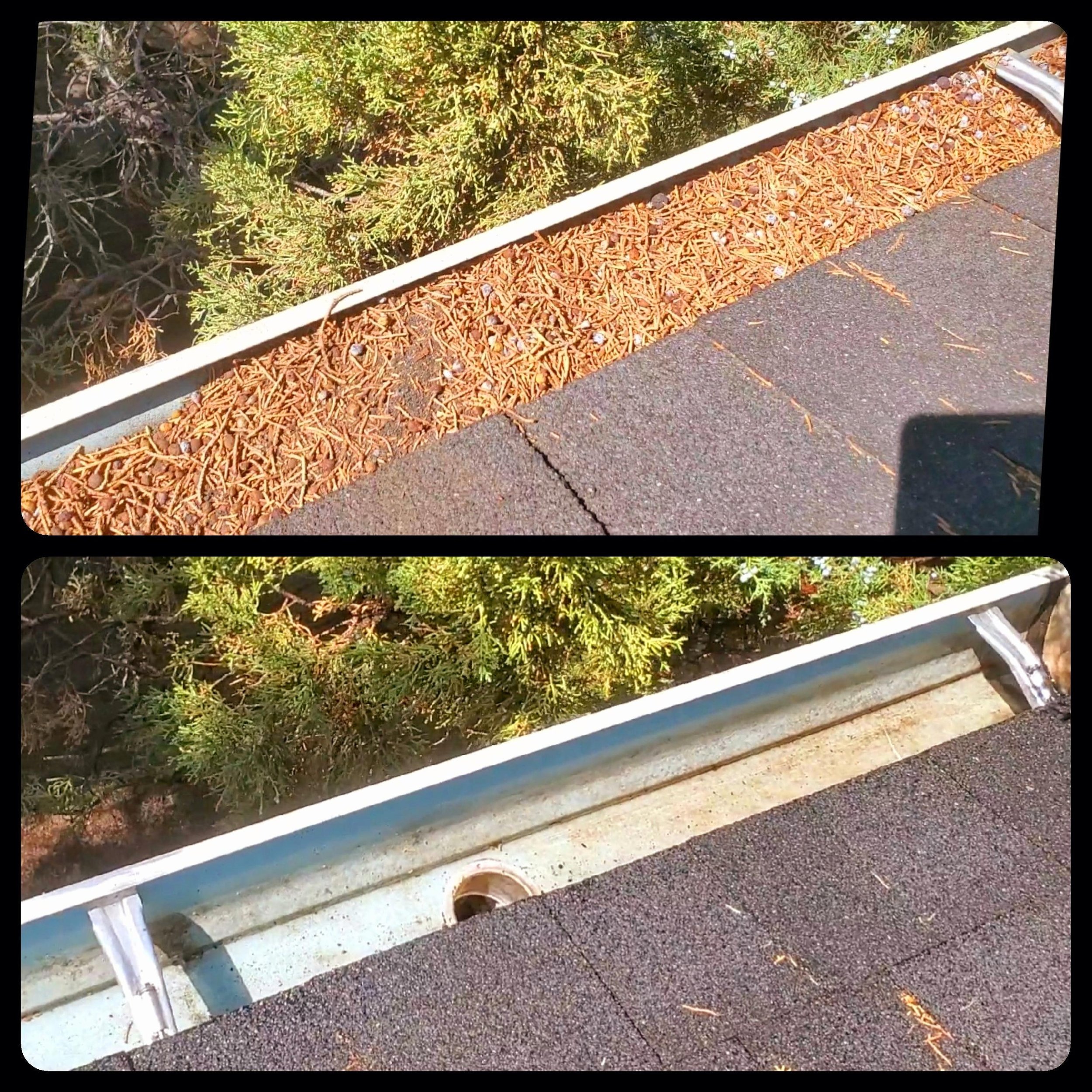 Gutter Cleaning 1.jpg