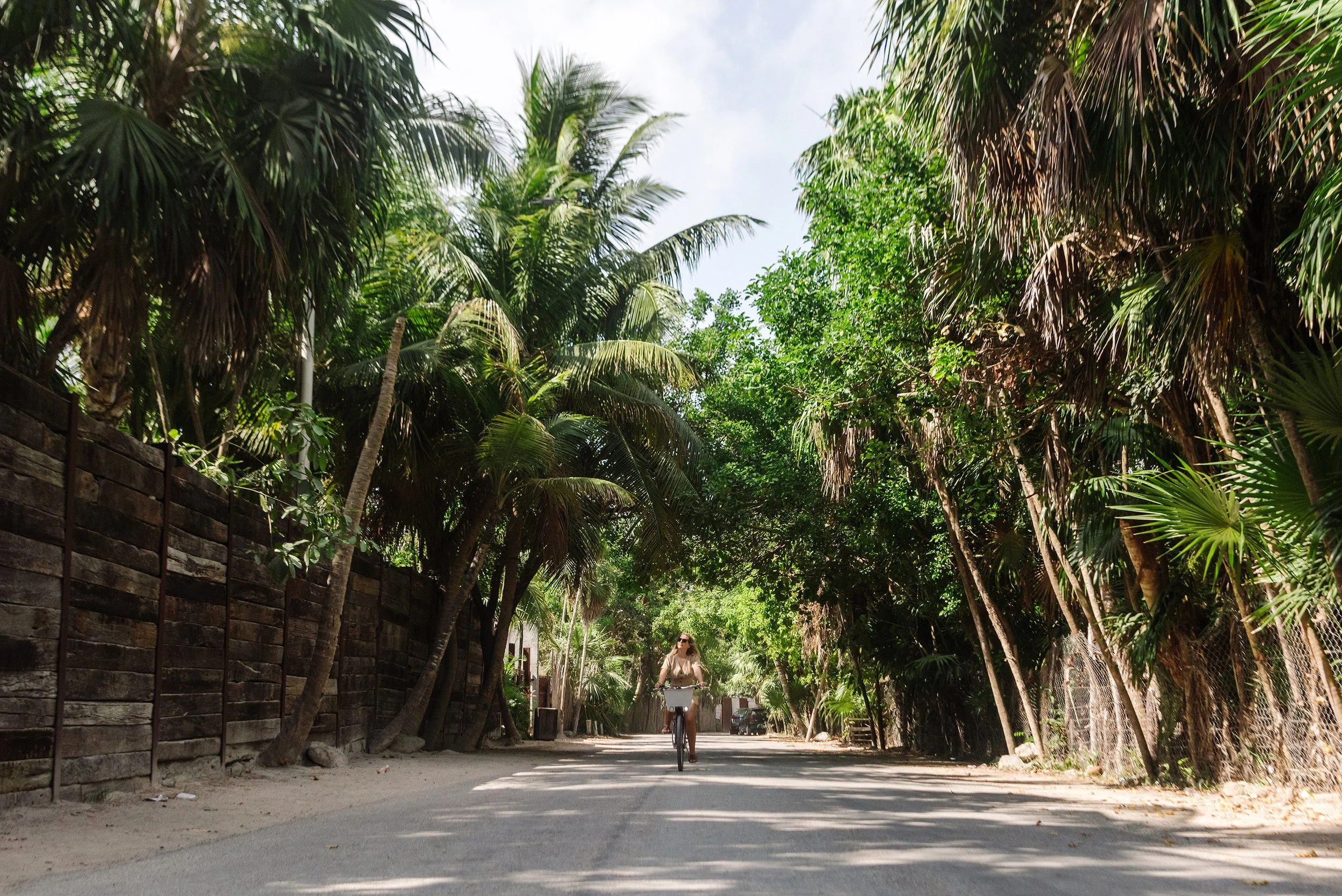 Person riding a bicycle on a shaded street lined with tall trees and leafy green foliage.