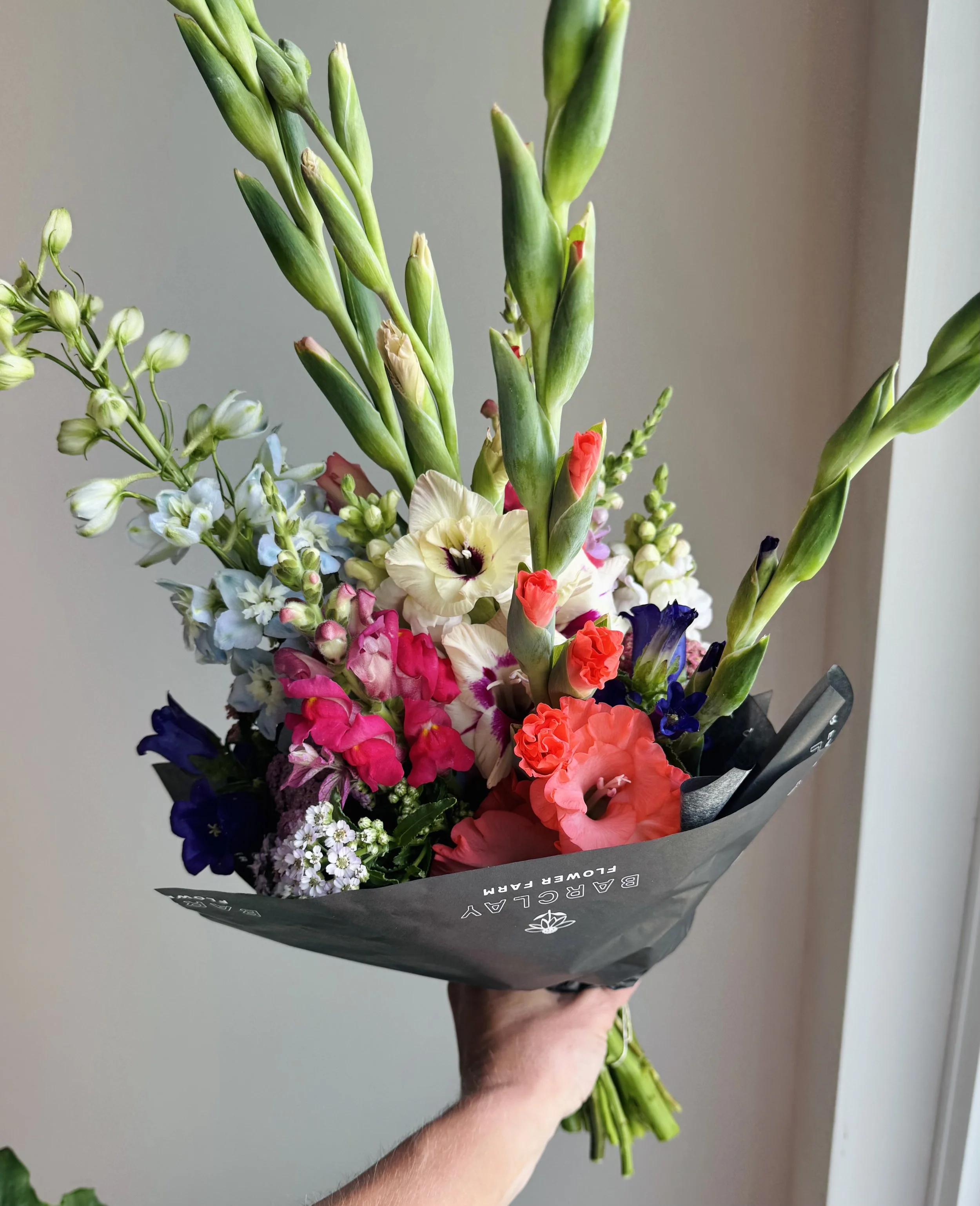 Early Summer (7 weeks)