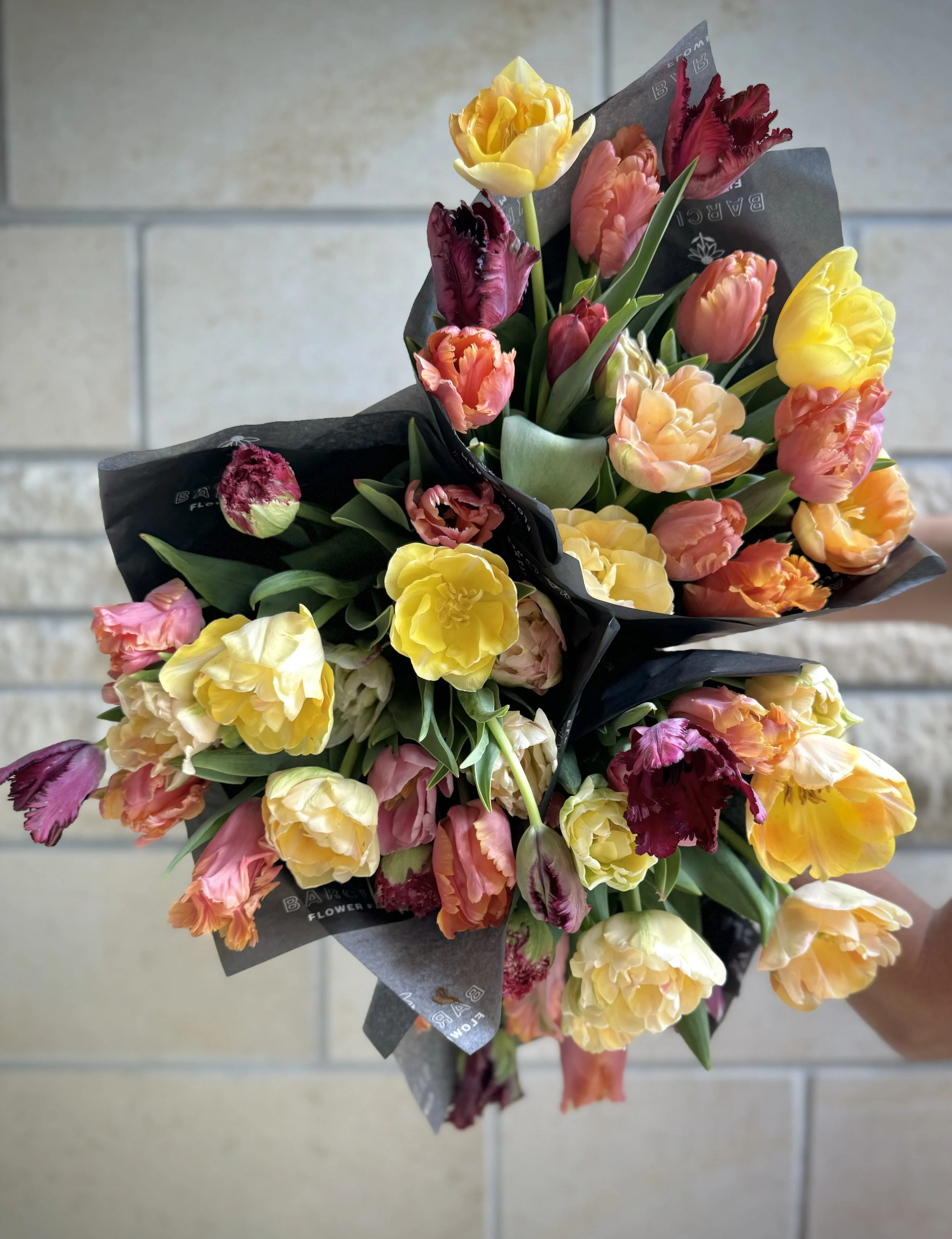 Spring Tulips (3 weeks)