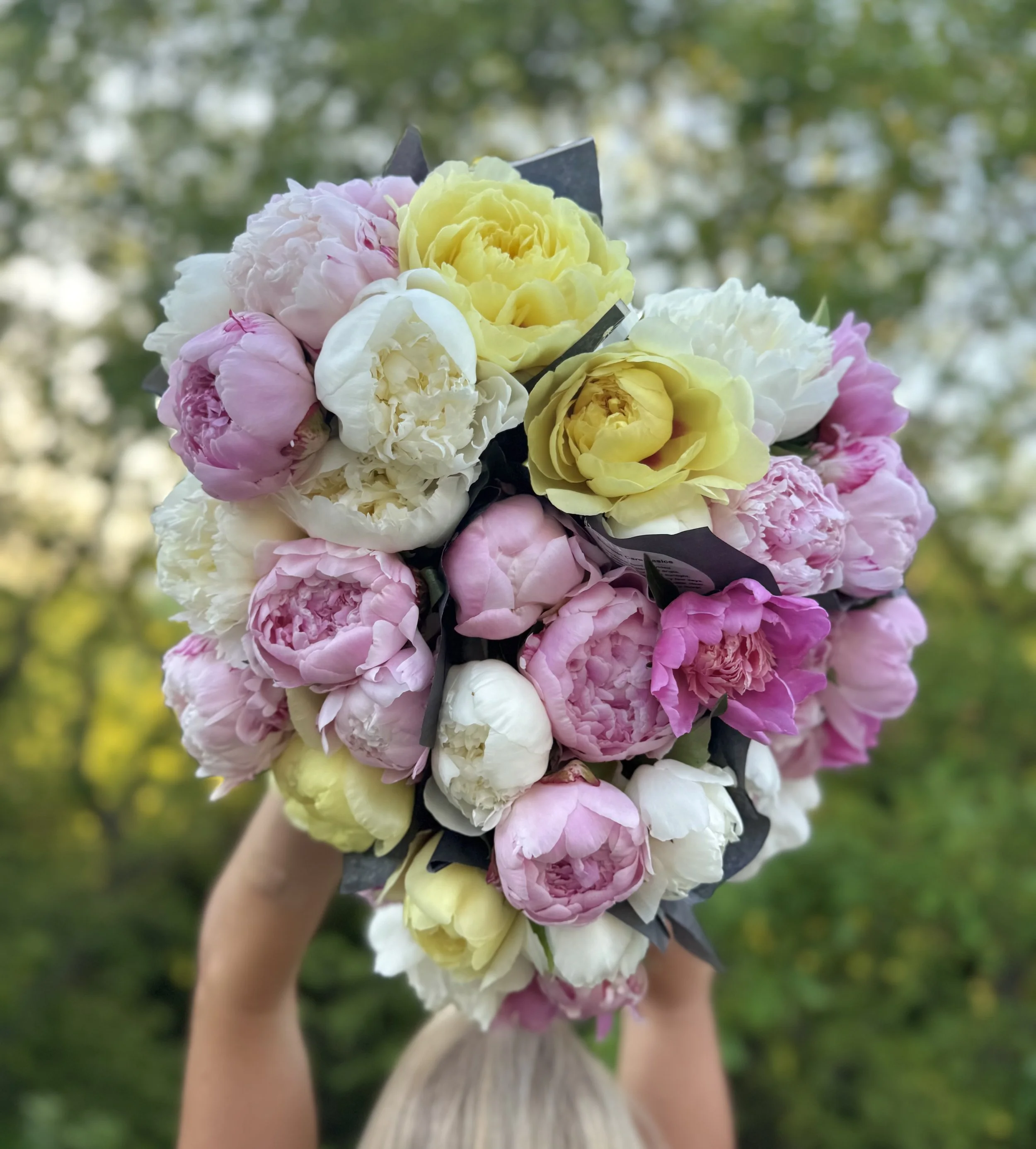 Spring Peonies (3 weeks)