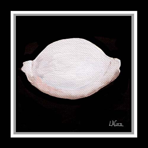 Shell 001 with trim website.jpg