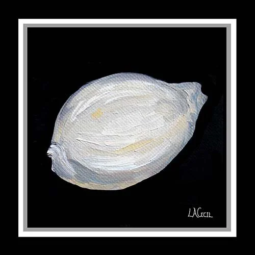 Shell 005 with trim website.jpg