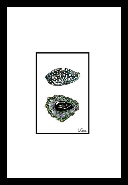 014b Shells Green Website.jpg