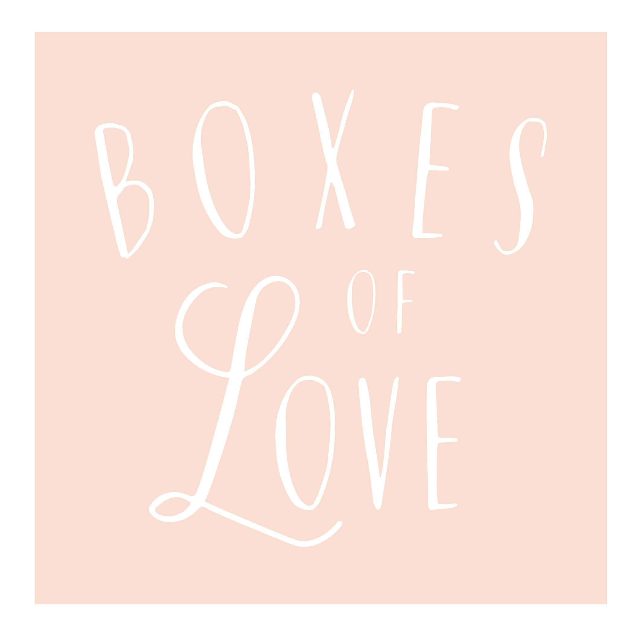 Boxes of Love Logo-inverted peach.jpg
