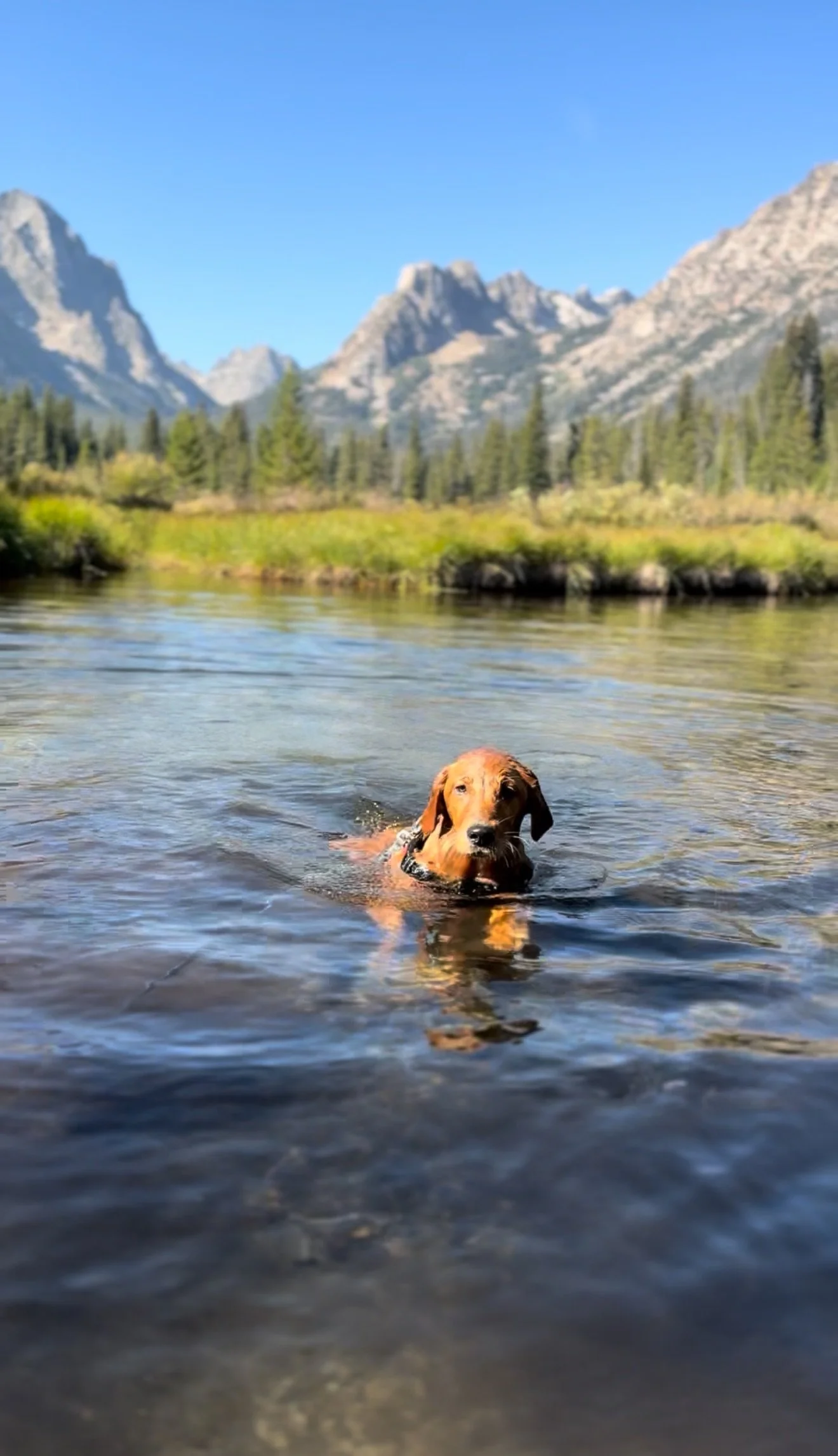 View recent photos.jpeg