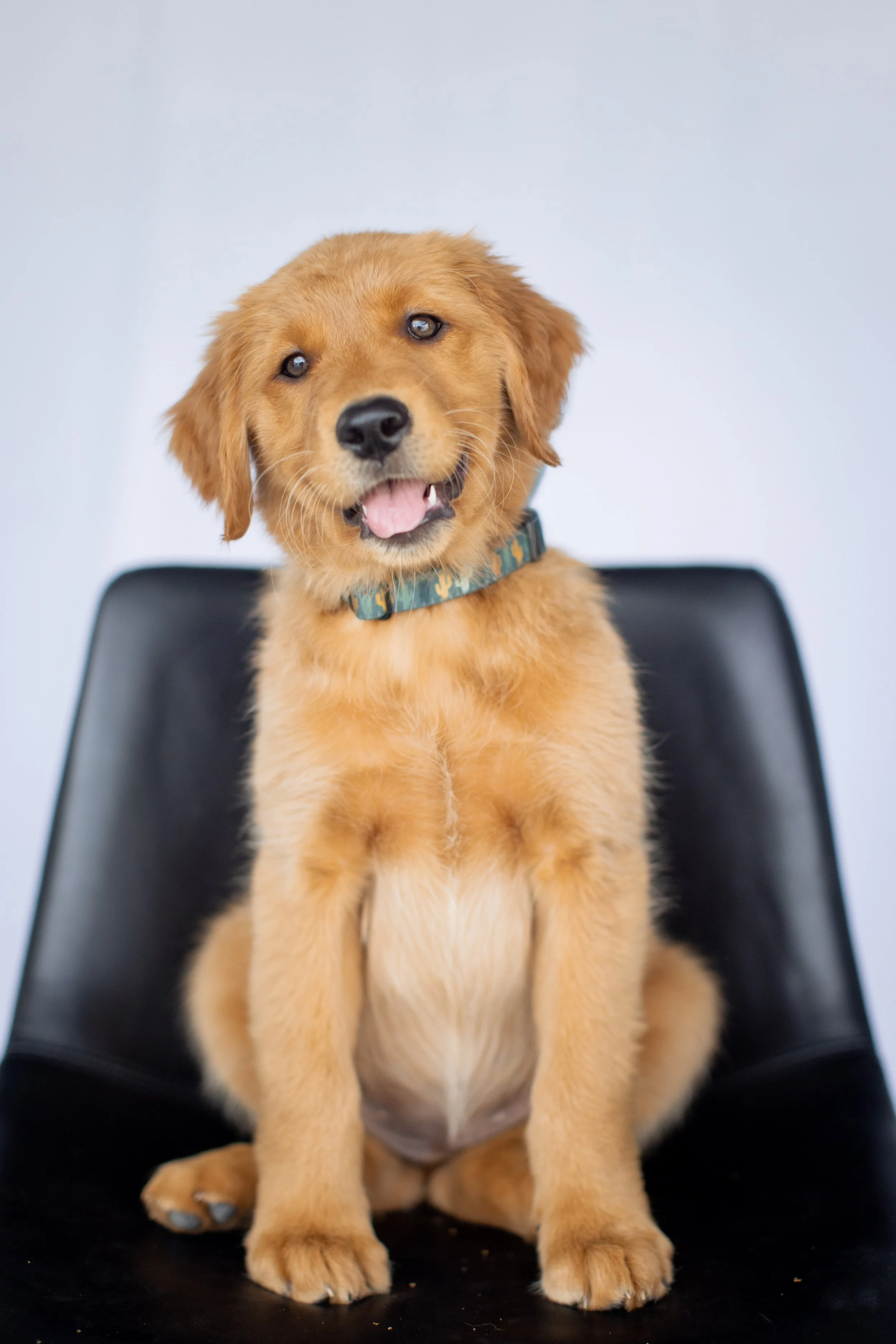 Session PLaying Around-0072.JPG