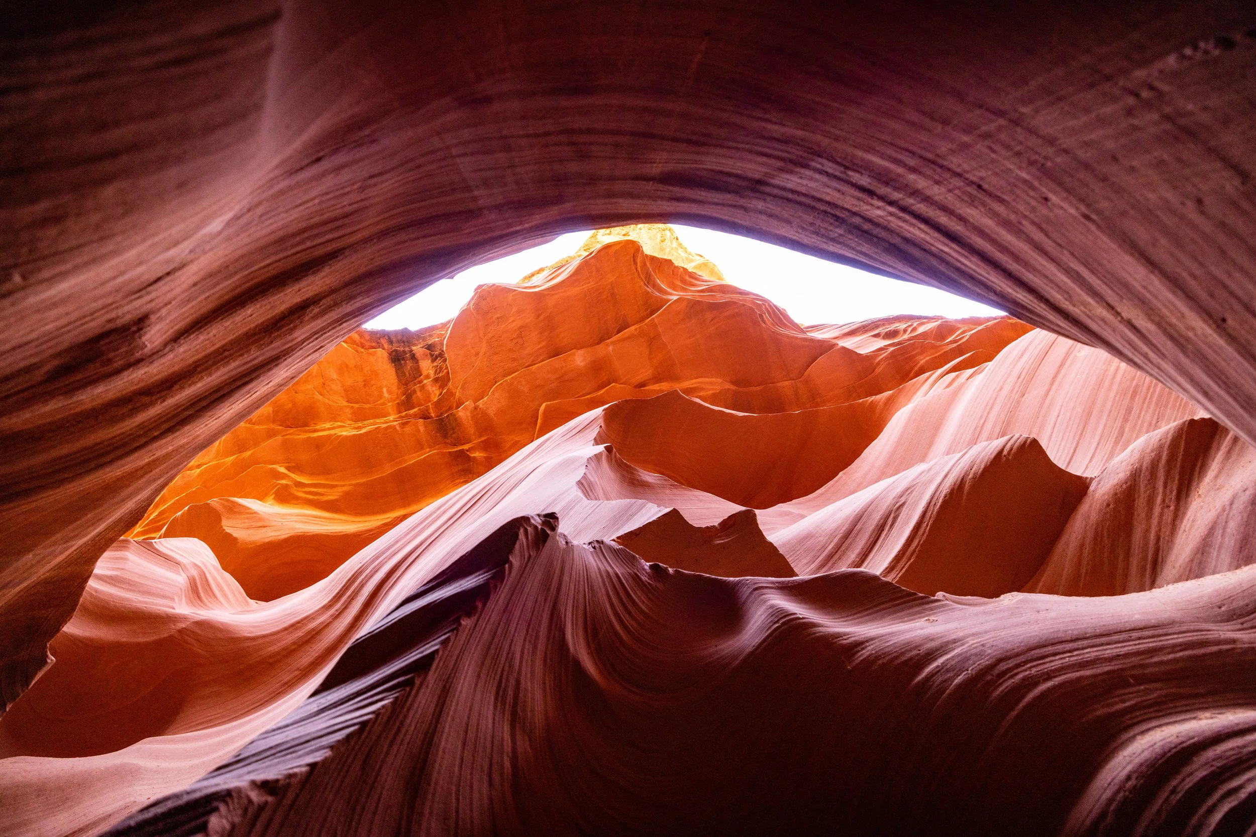 TR5_1036.jpg