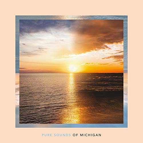 Pure Sounds of Michigan