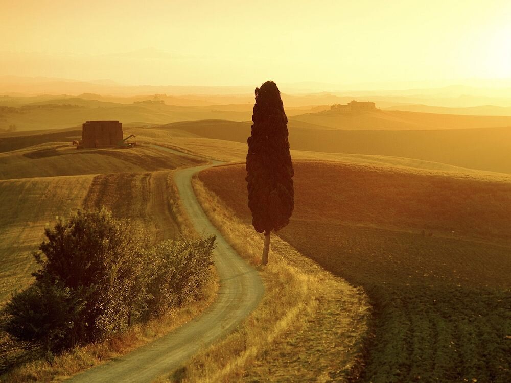 Tuscany-Landscapes-View copy.jpg