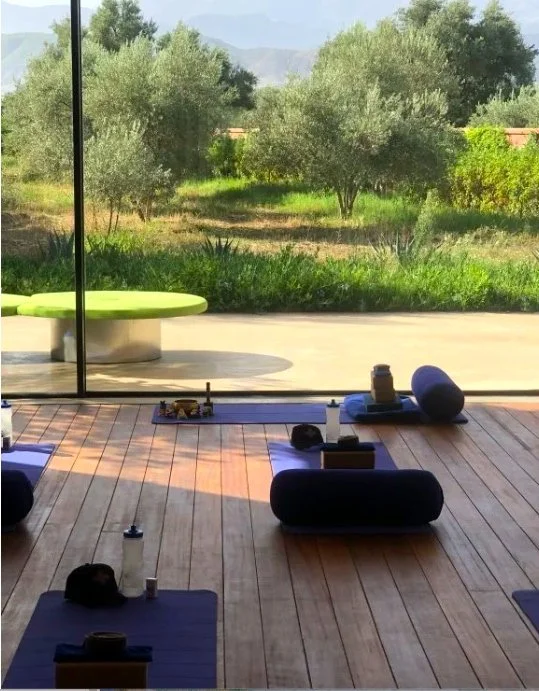 Screen Shot 2026-02-12 at 4.49.43 PM.jpg