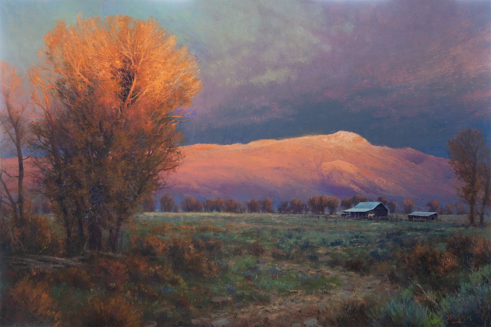 mormon row dusk.jpg