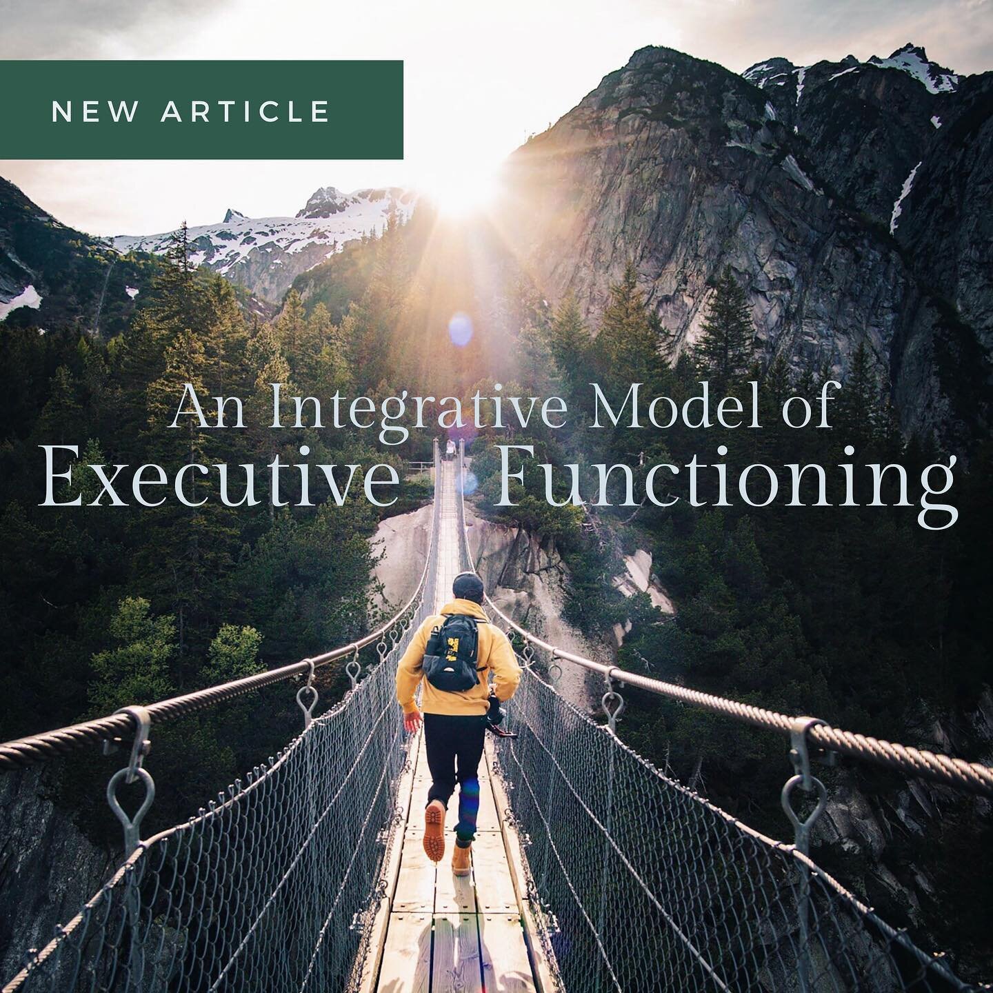 We&rsquo;re so excited about this topic! Check out the link in bio for an introduction to Dr. Cozolino&rsquo;s new integrative model of the three executive systems. It applies to parenting, relationships, professional life&mdash;you name it. Knowing 