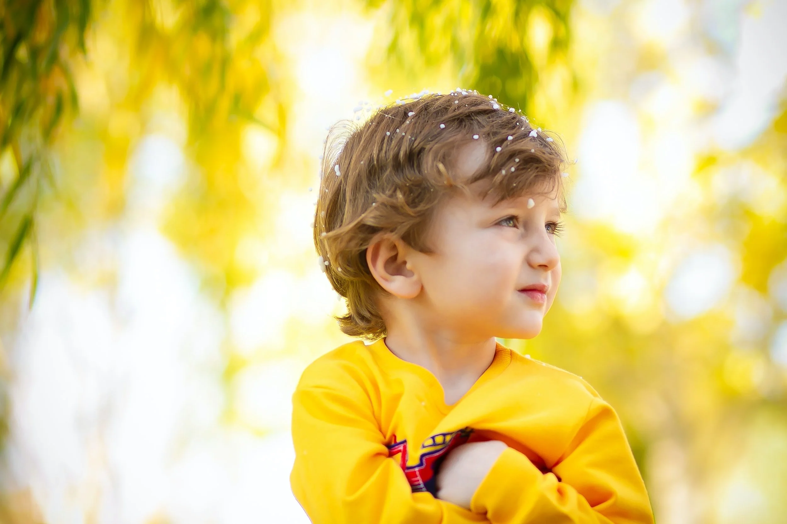 임상사례: 딜런