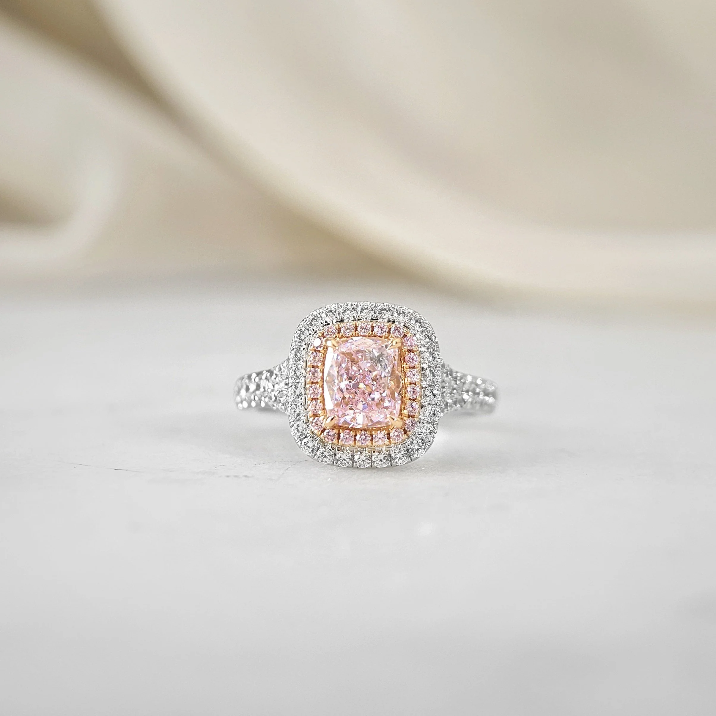 20260130_150229 (1).jpg