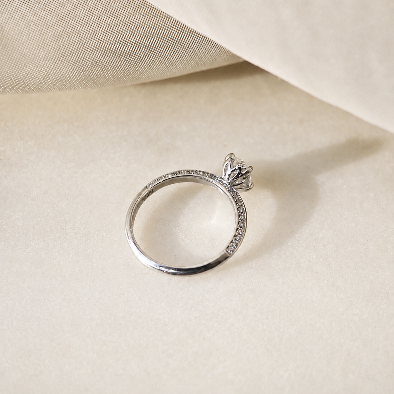 LV010304-LUSTRE-02.png