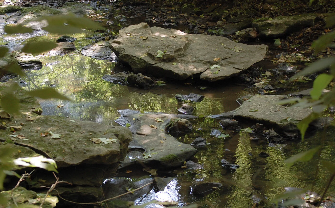Spring Valley Nature Preserve