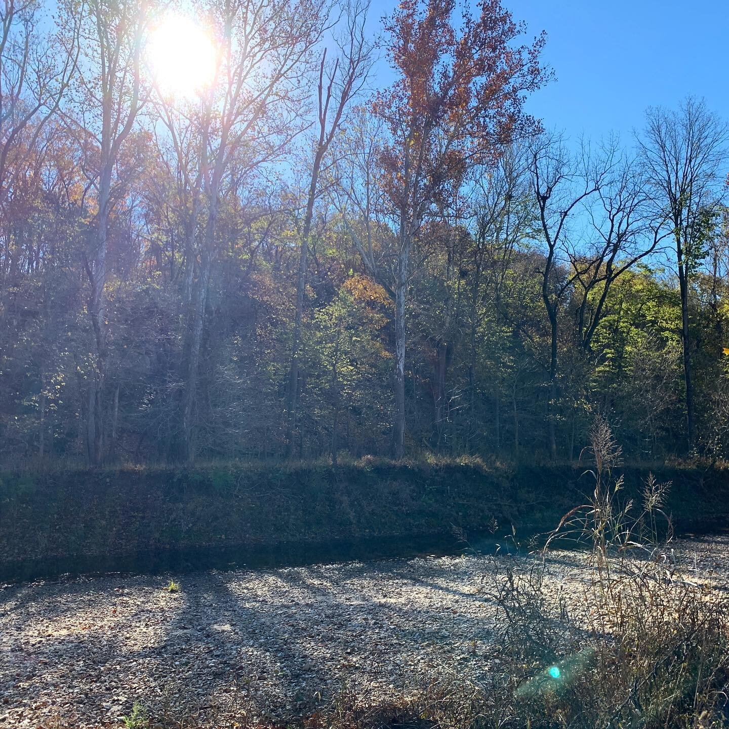 Just another #ManagementMonday...wait, that&rsquo;s not how that song goes. 

Anyway, one of the truths you confront when you manage a landscape is that everything is connected. One of those connections is land and water. Conserved green spaces along