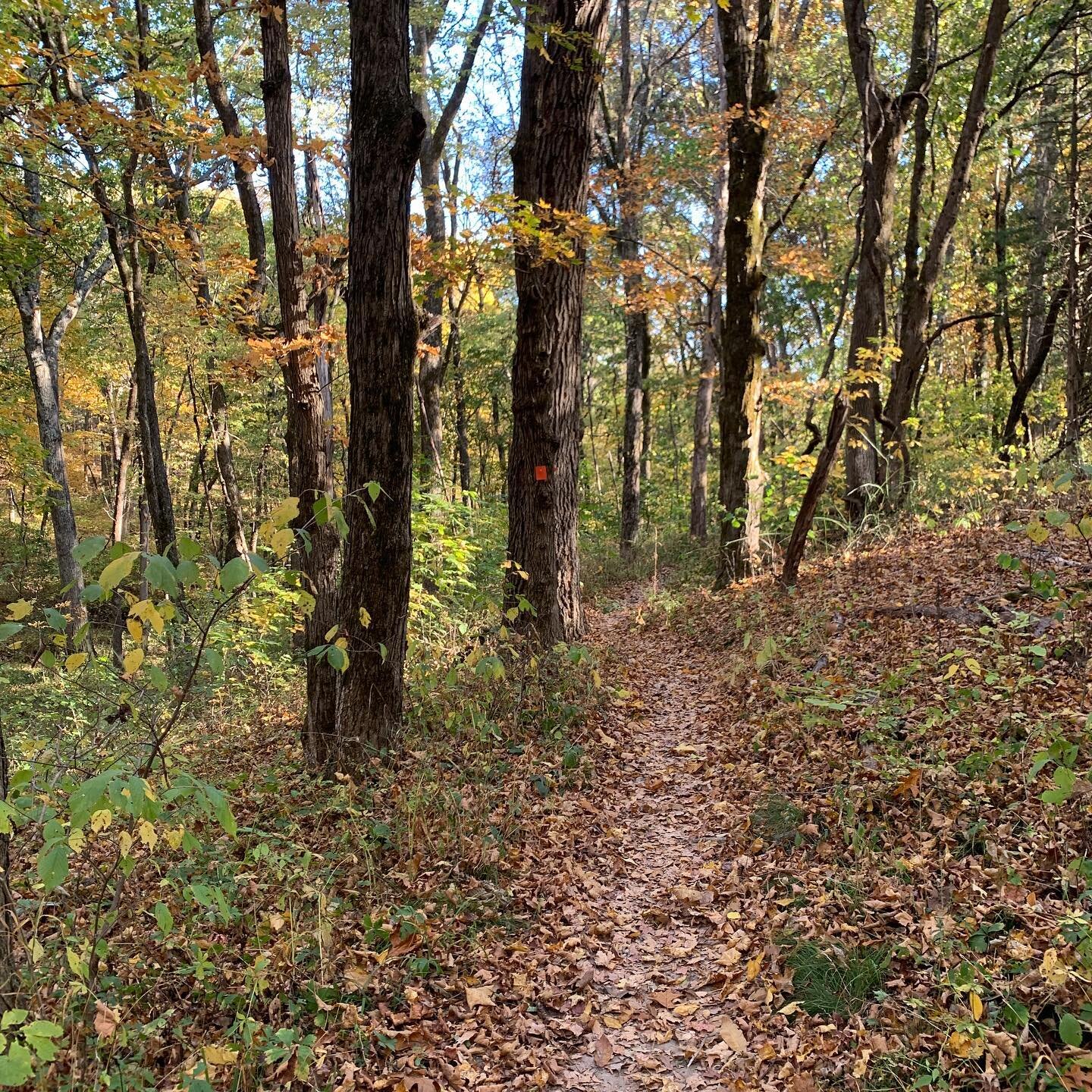 Today&rsquo;s the day! The last day of 2020, and the last day of @como.gives. 

2020 has been rough, and I, for one, am ready to head down the trail to 2021. Let&rsquo;s do it together.

If you haven&rsquo;t yet, please consider hitting the link in b
