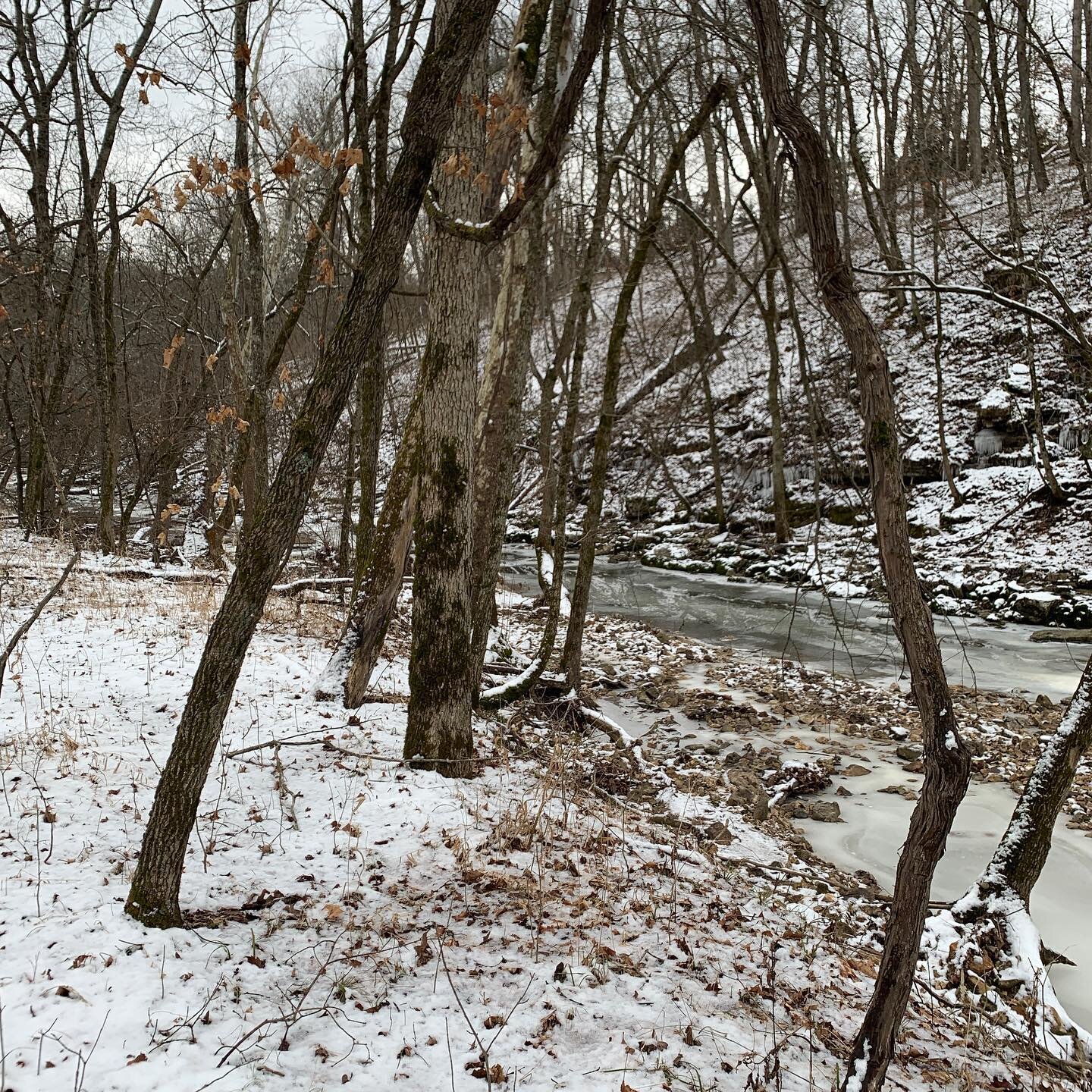 Wishing you a happy, healthy holiday!
.
.
#greenbeltmo #comogives #comogives2020 #columbiamo #showmecomo #lovetheland #landtrust #conservation #happyholidays #midwestmoment #midwestisbest #midwestislife #showmestate #conservation