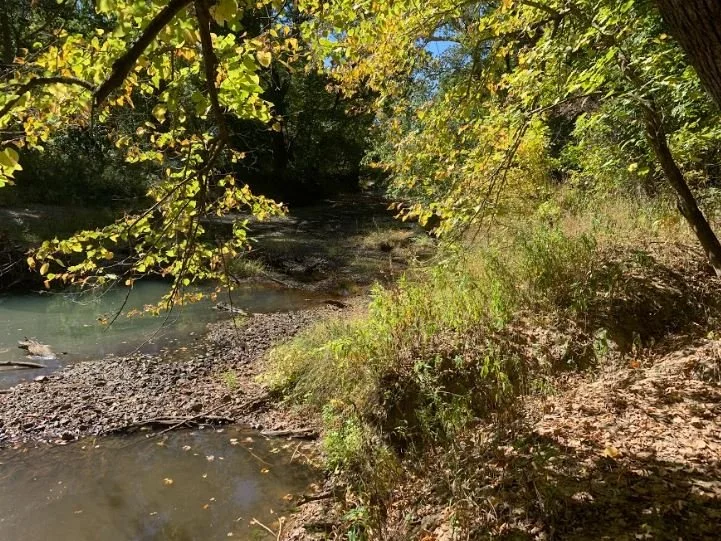 Chinkapin Bluff Conservation Easement
