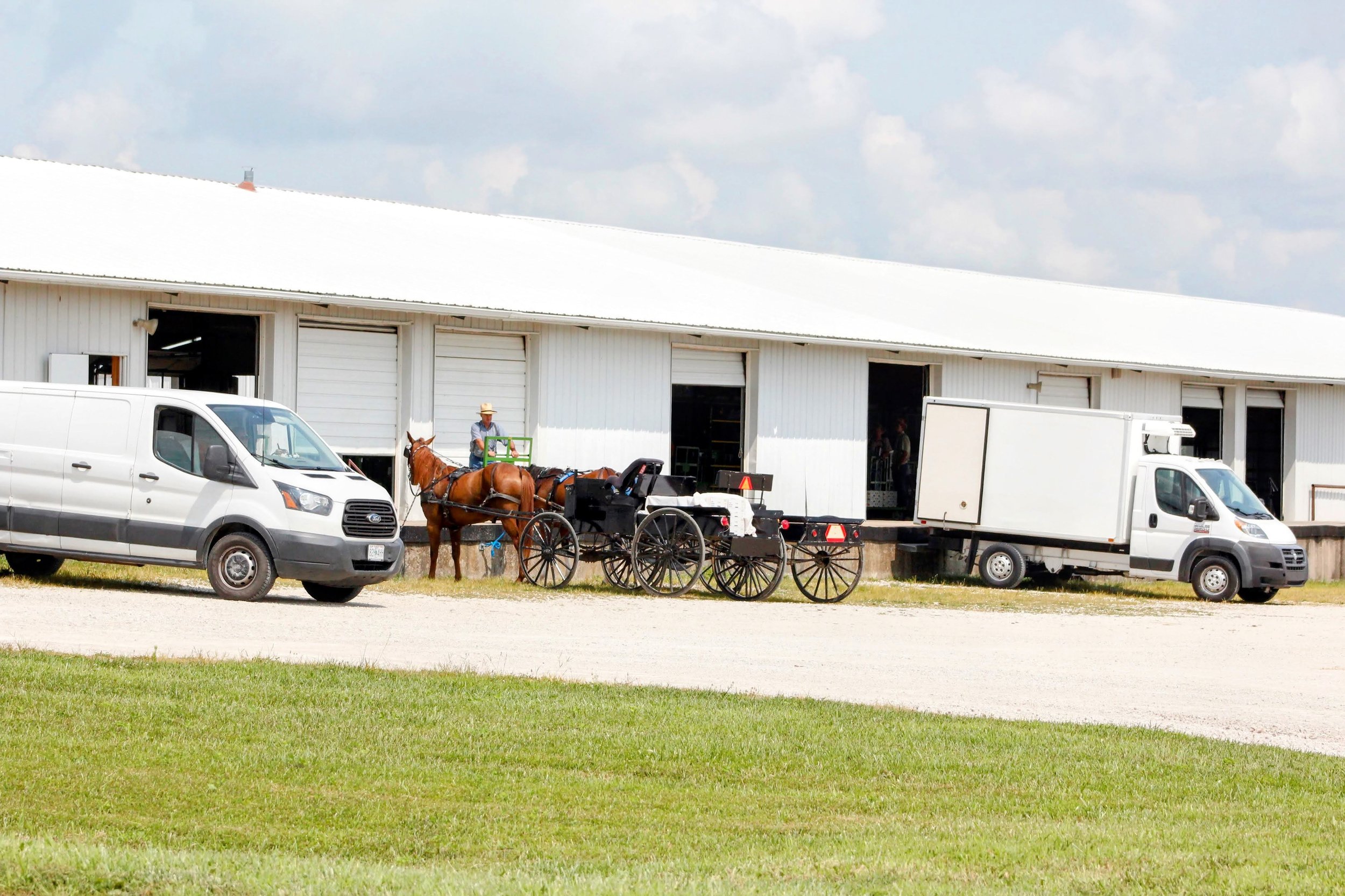  A van, two horse-and-buggies, and a box truck are pulled up to unload produce for auction. 