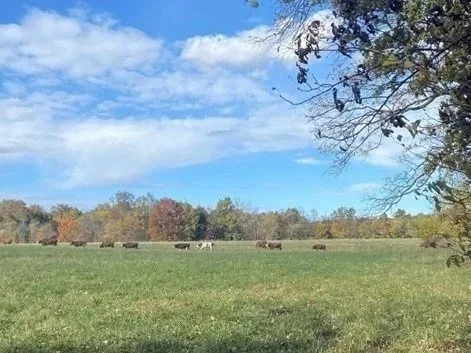 Pasley Farm Conservation Easement